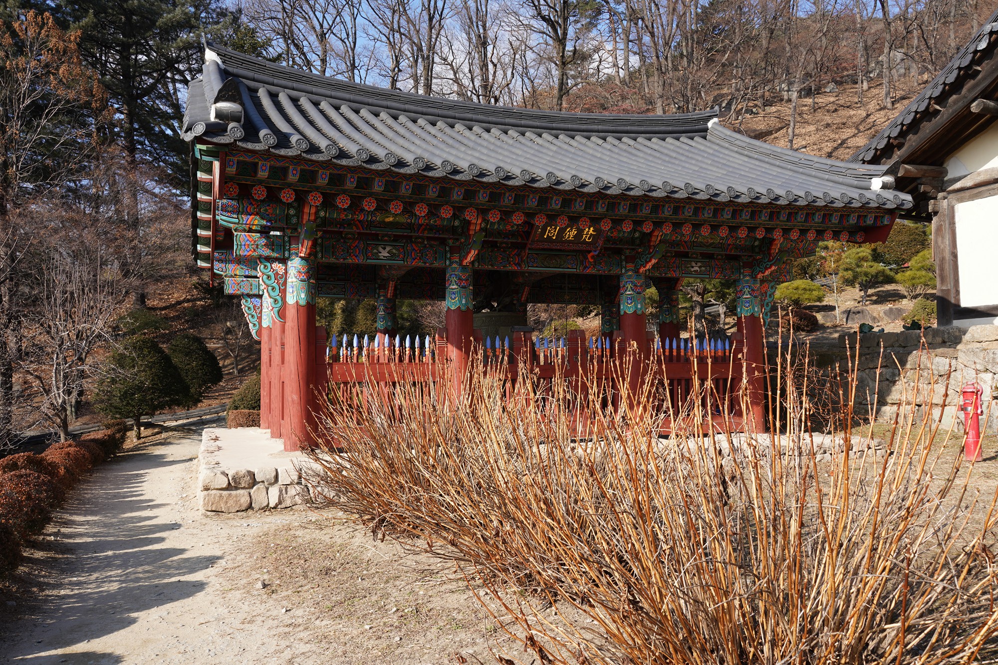 YeongJu (147)