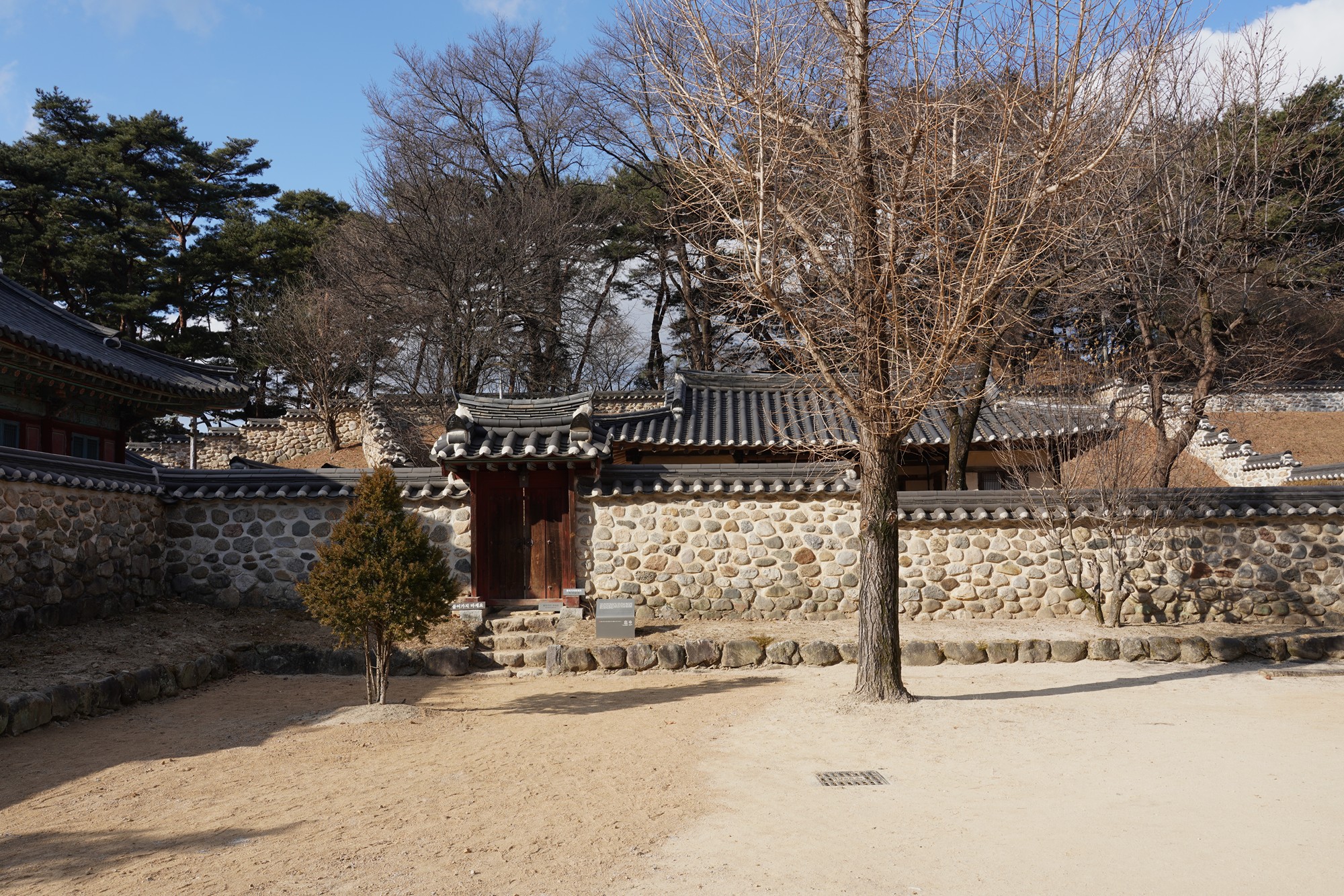 YeongJu (15)