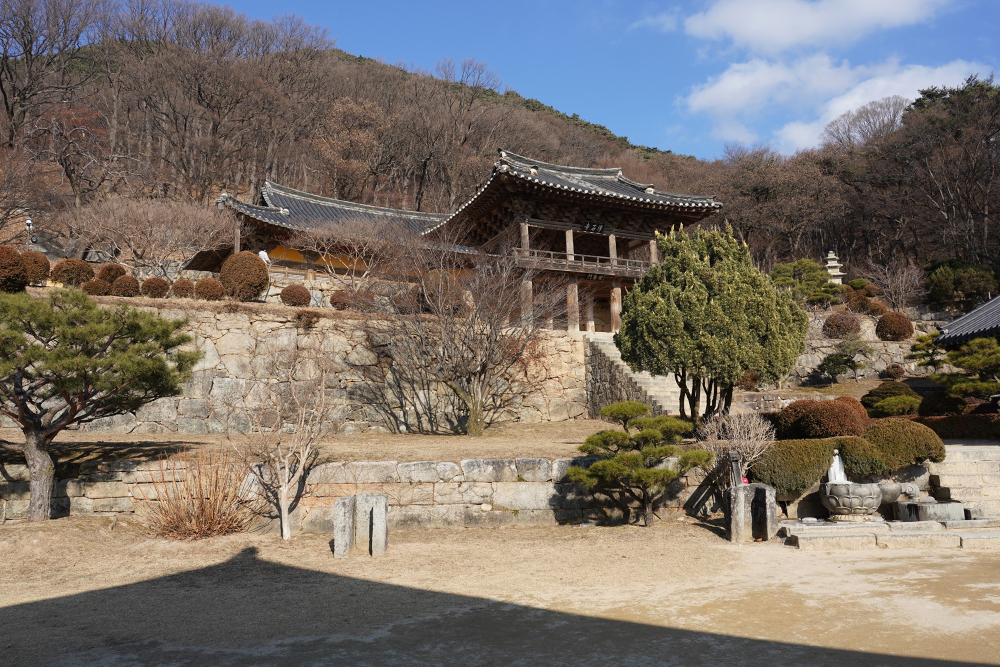 YeongJu (151)
