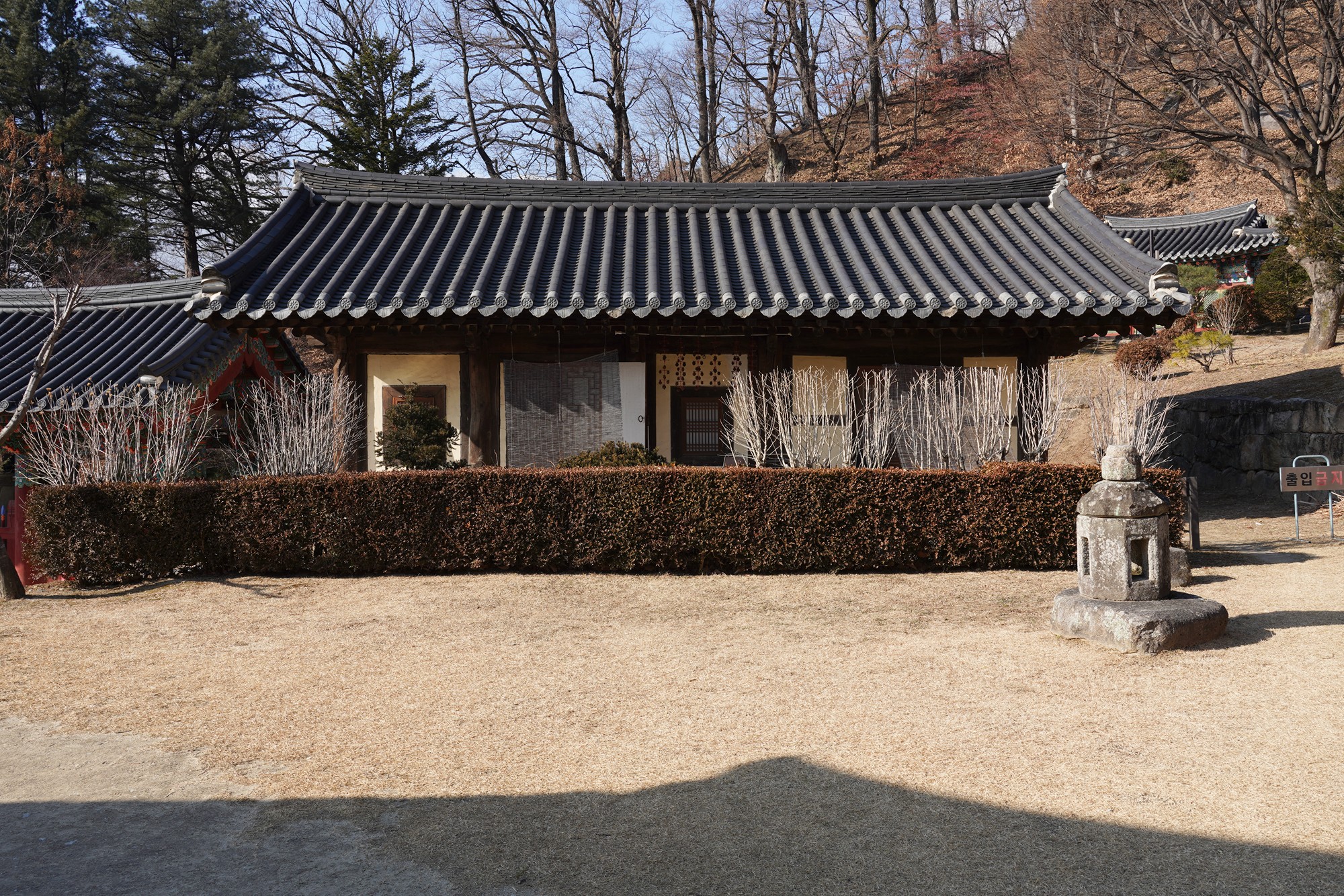 YeongJu (152)