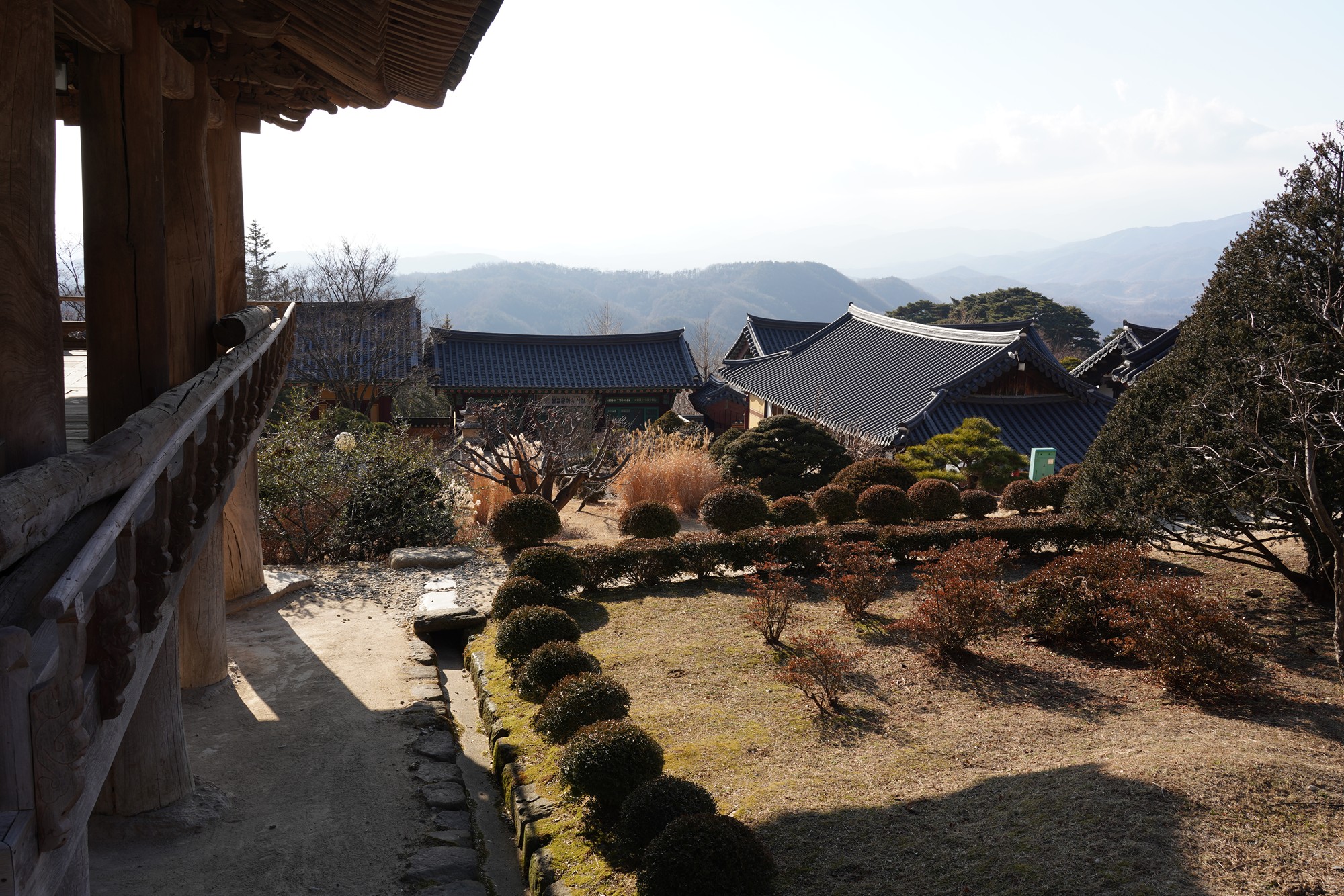 YeongJu (155)