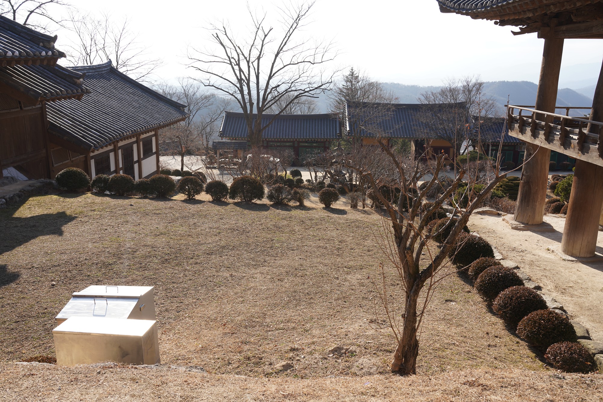 YeongJu (156)