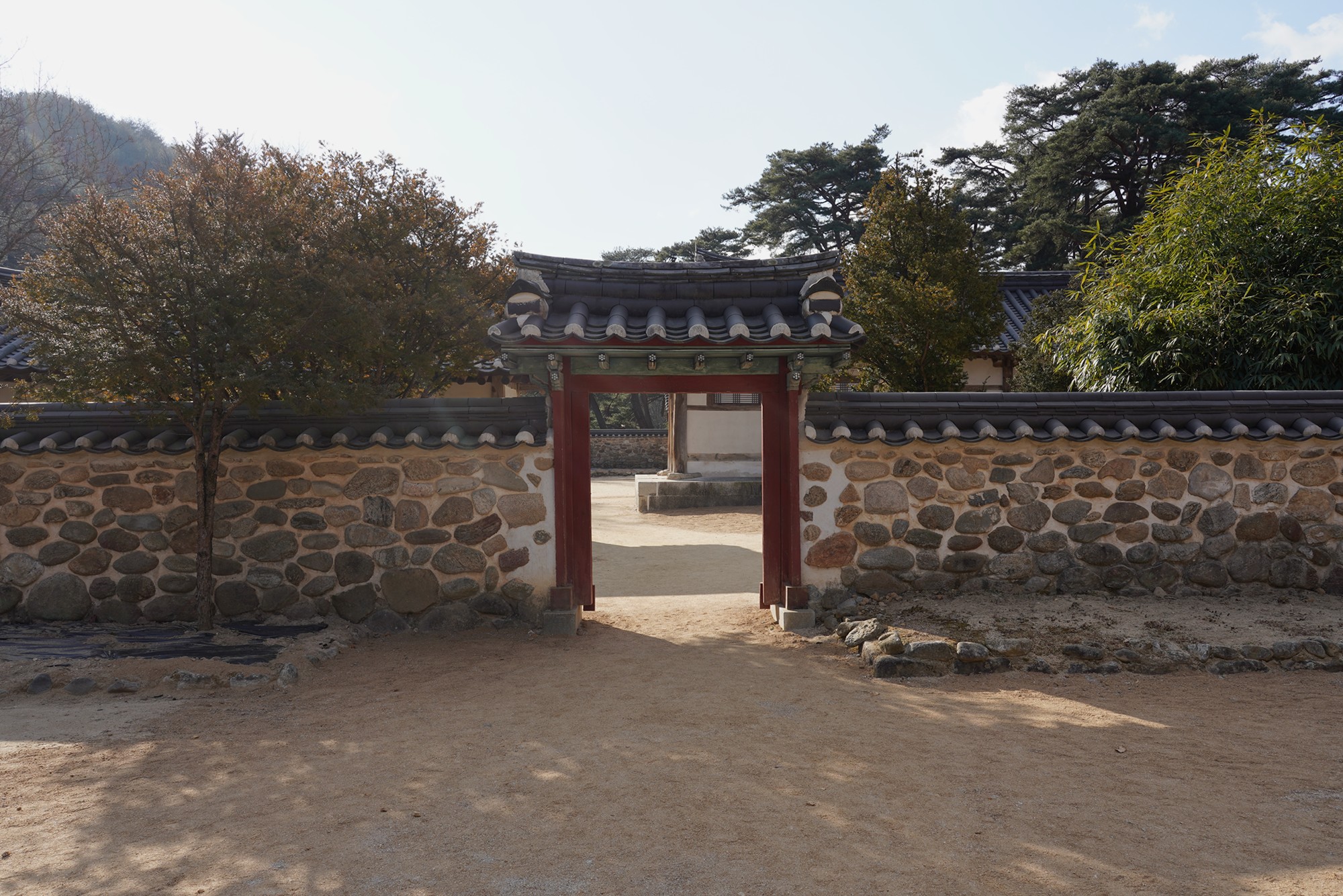 YeongJu (16)