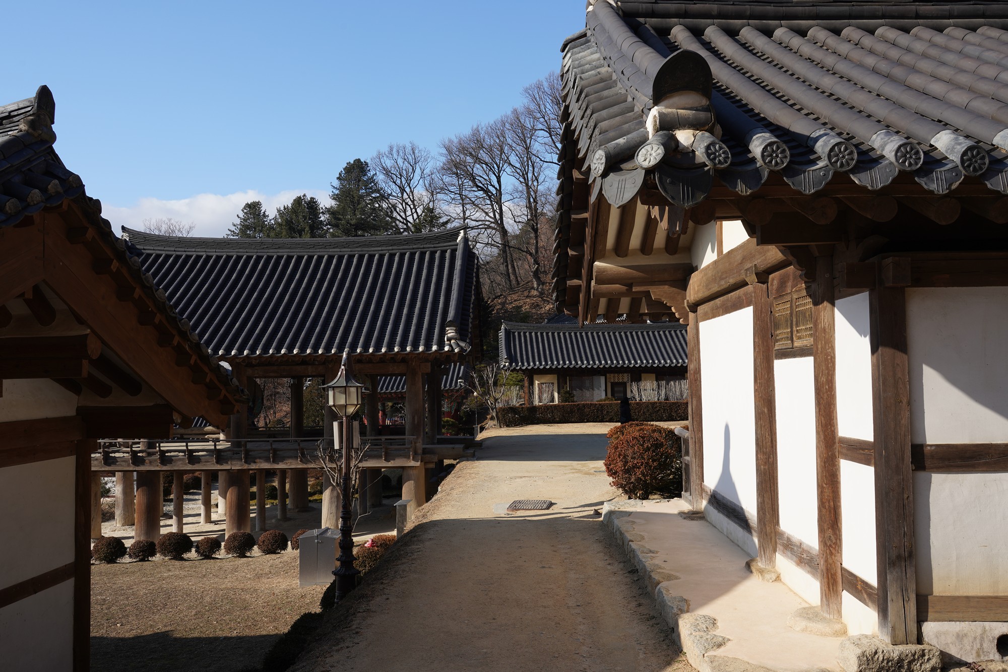 YeongJu (161)