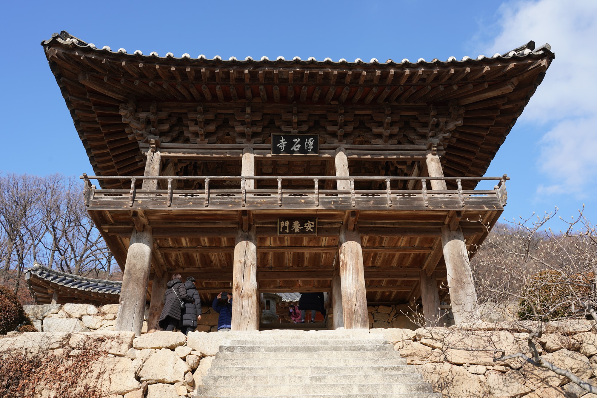 YeongJu (163)
