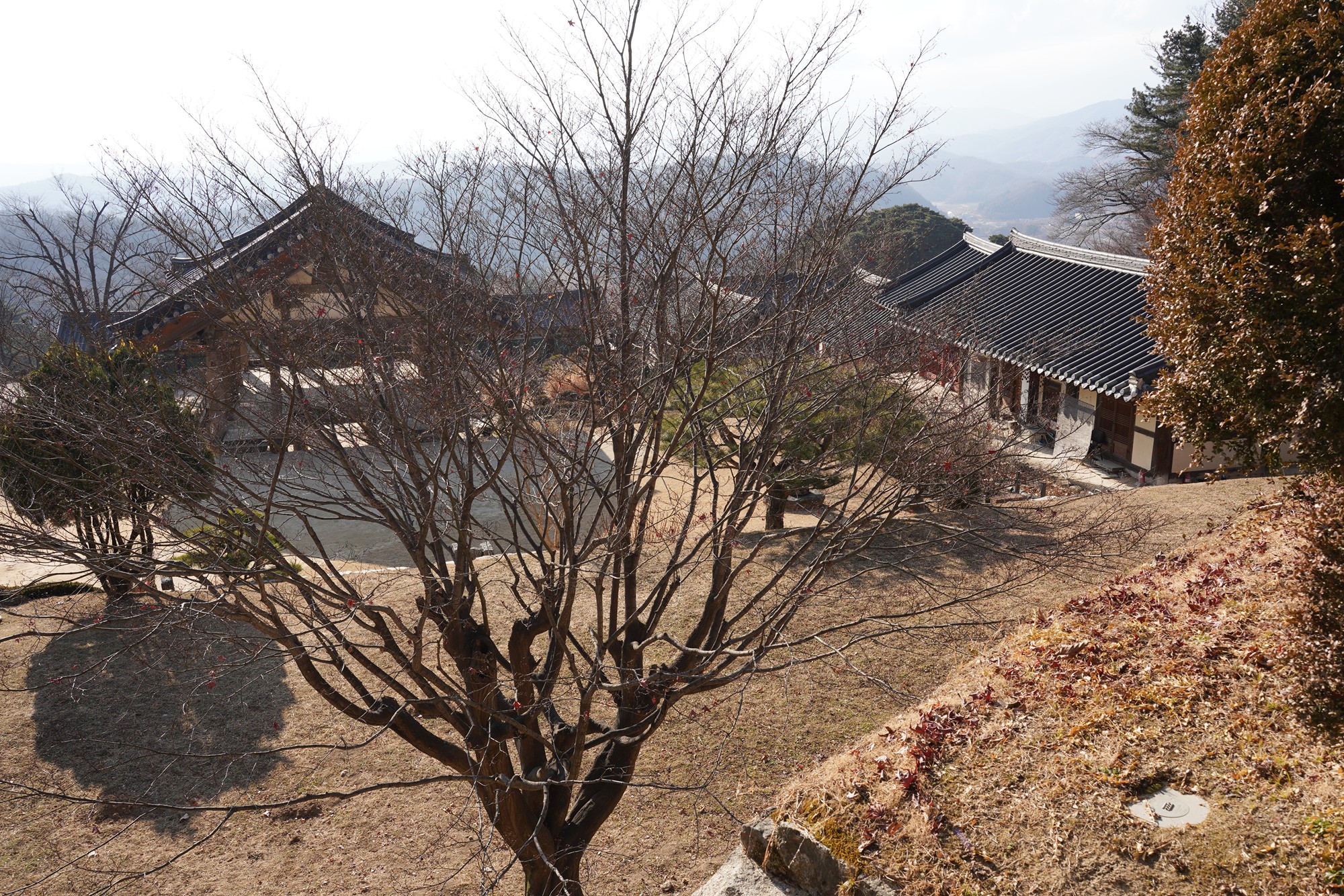 YeongJu (165)