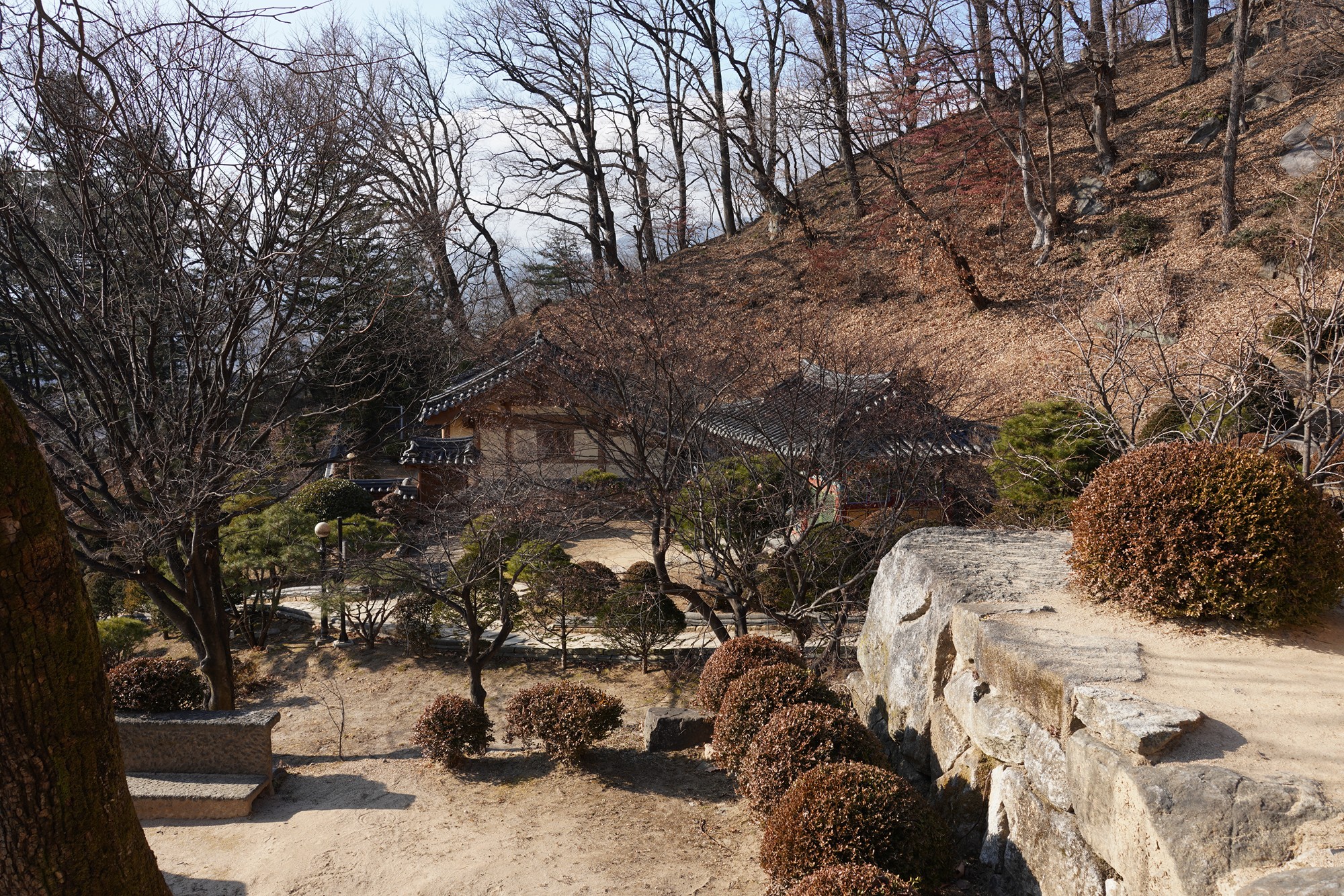 YeongJu (170)