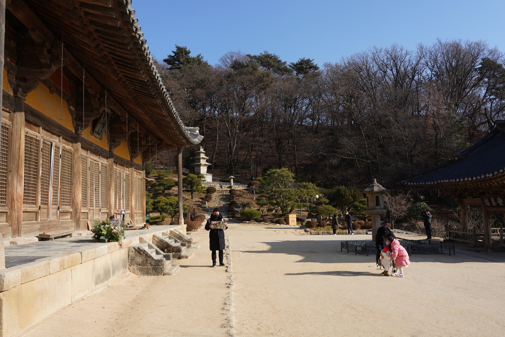 YeongJu (171)