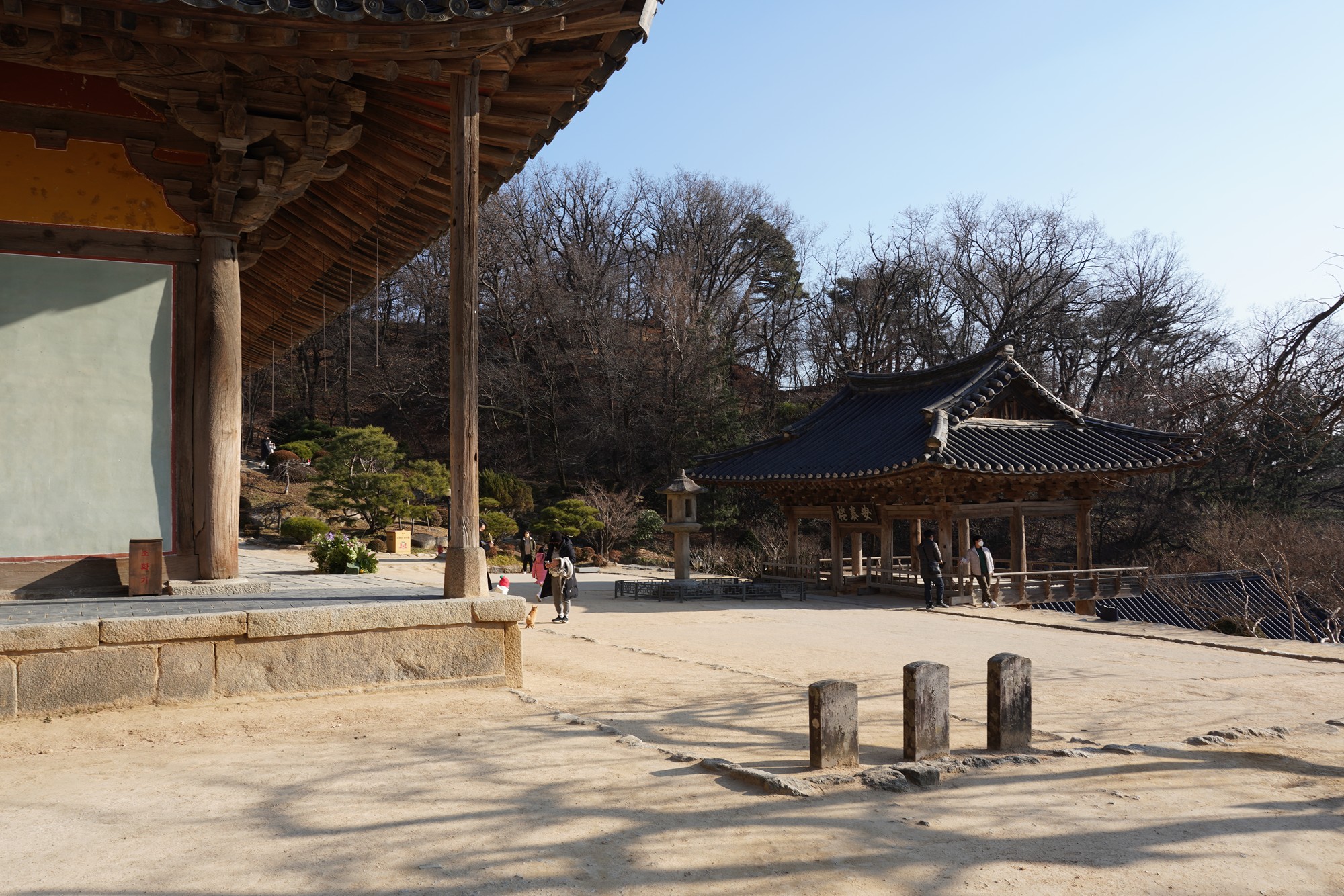 YeongJu (173)