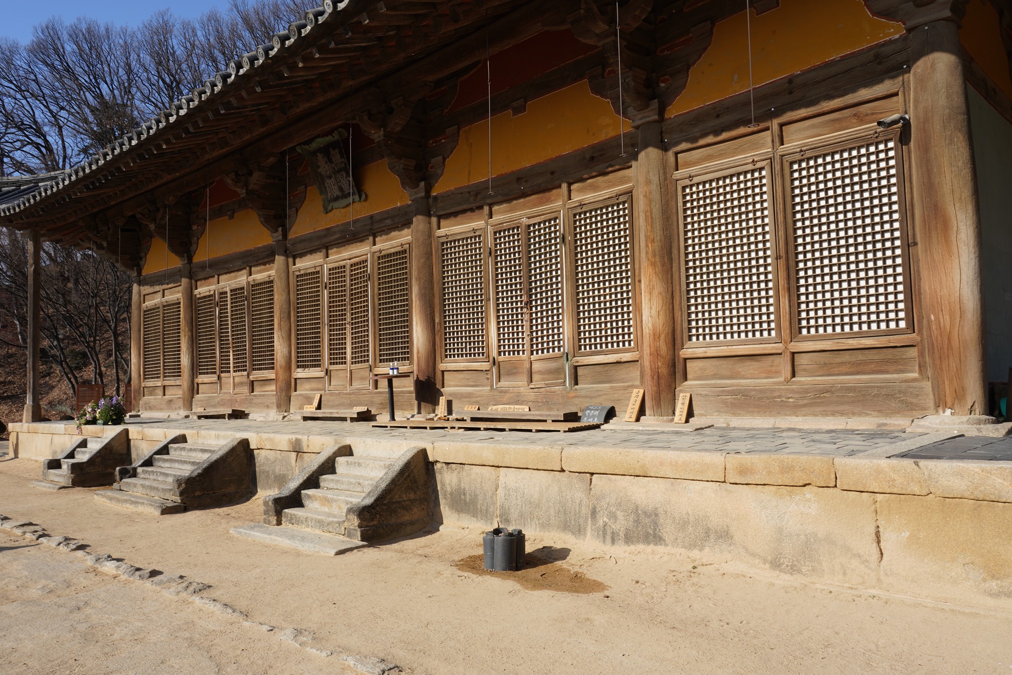 YeongJu (174)