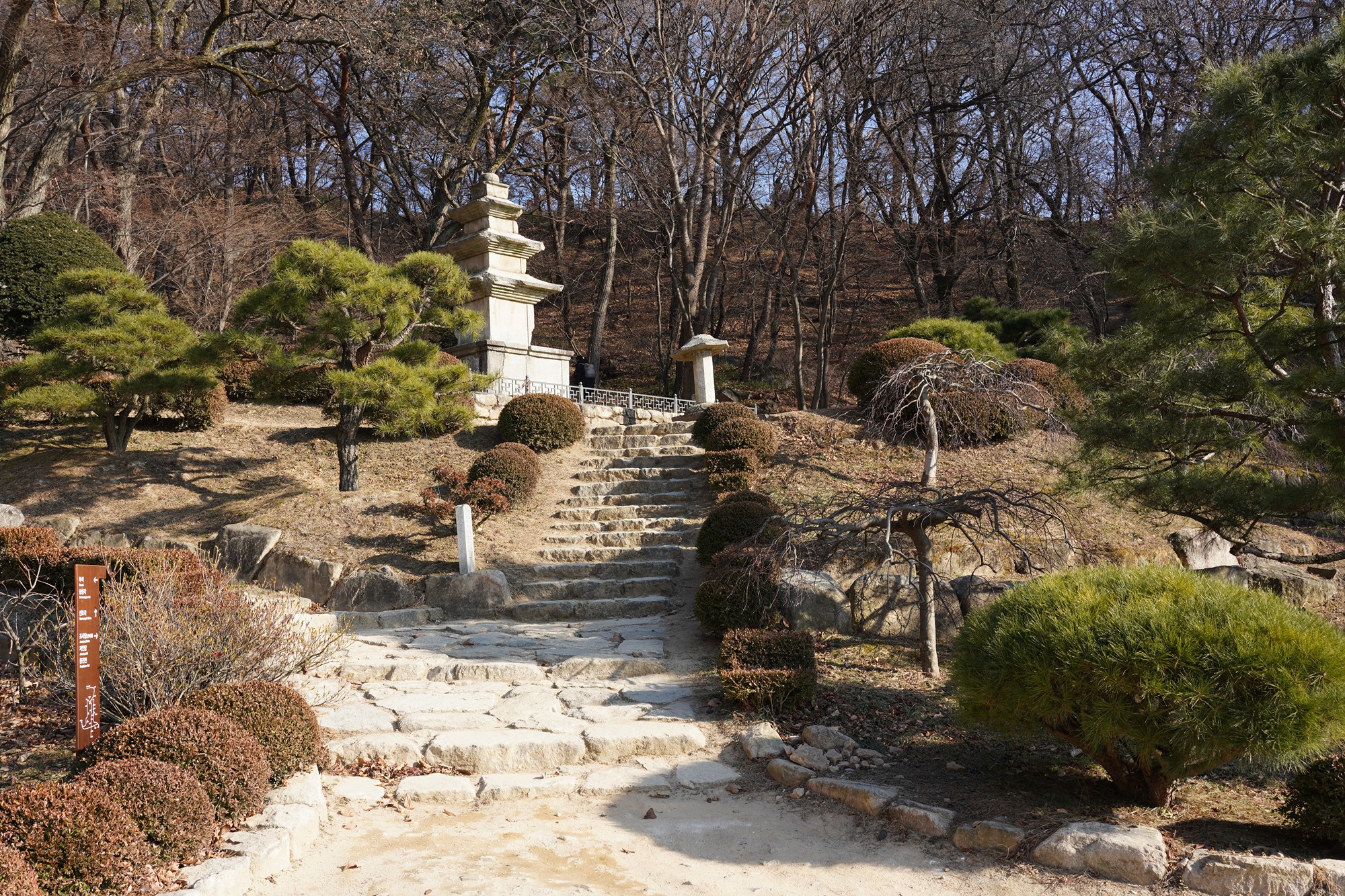 YeongJu (175)