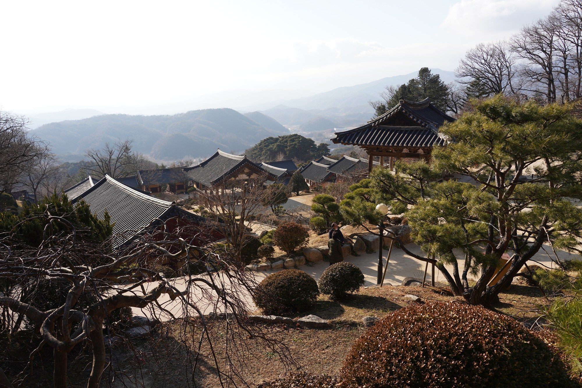 YeongJu (176)