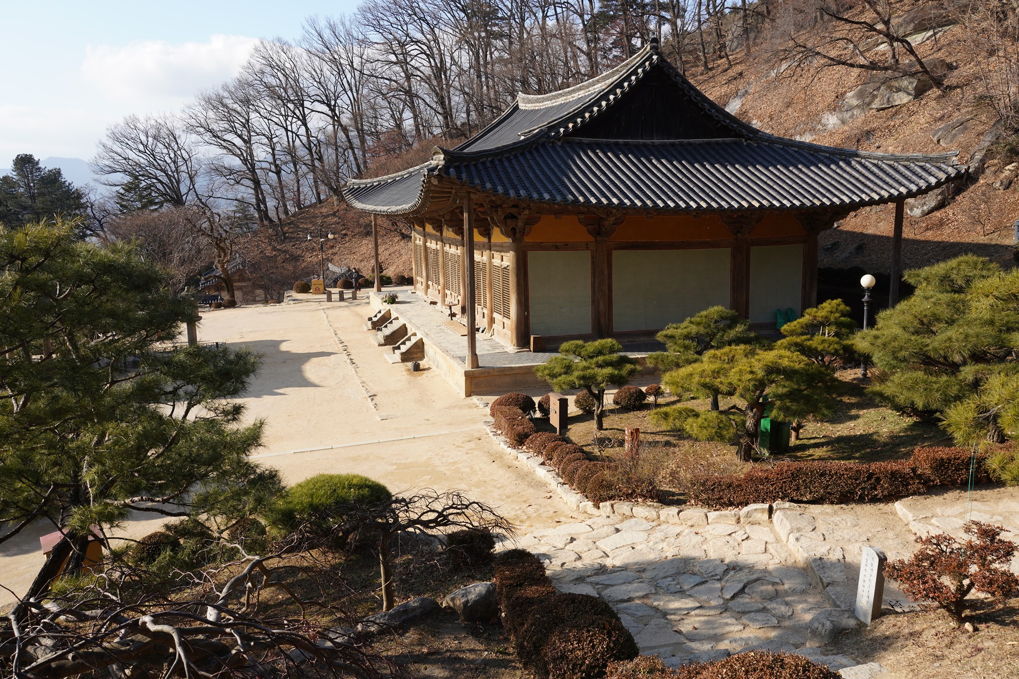 YeongJu (177)