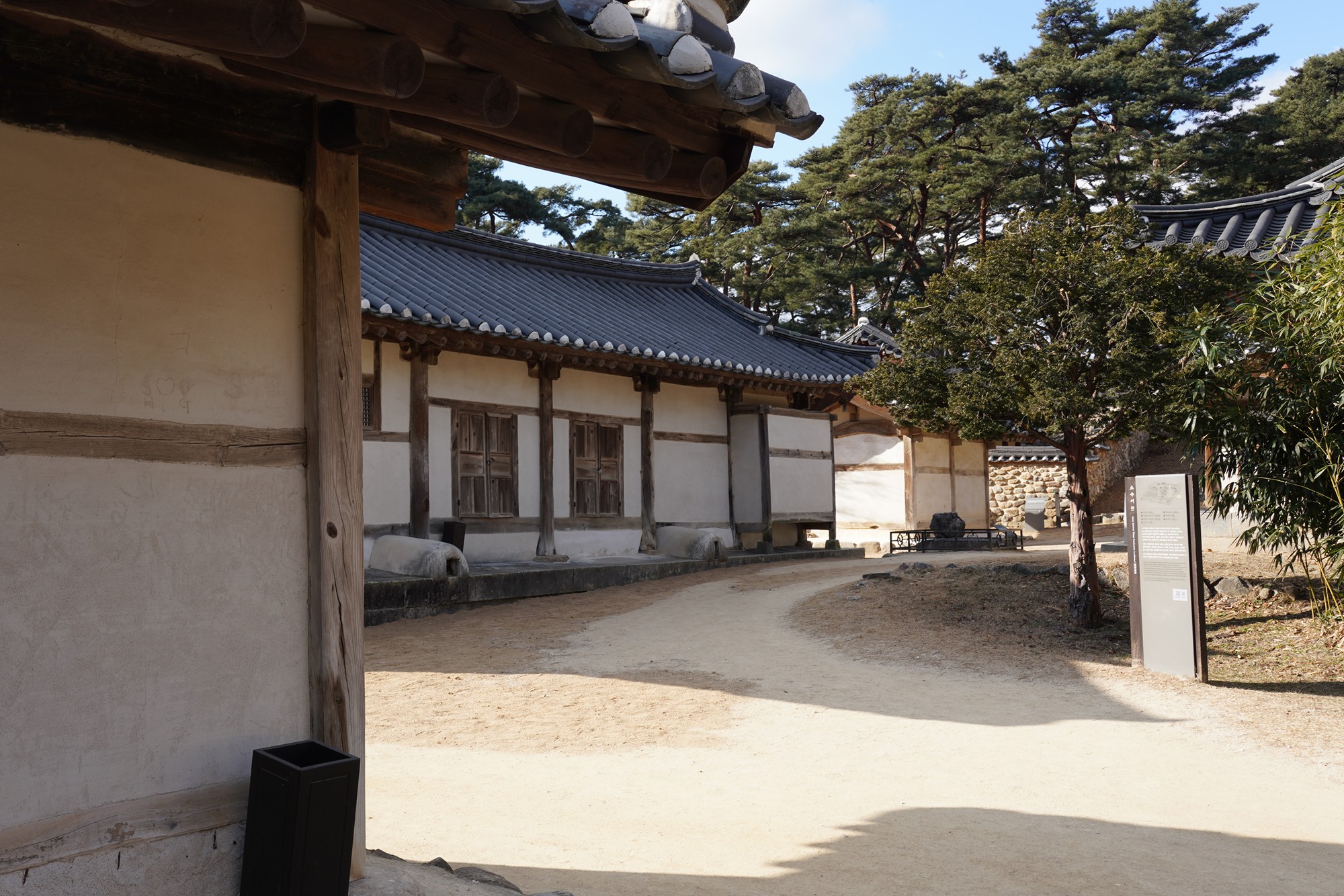 YeongJu (18)
