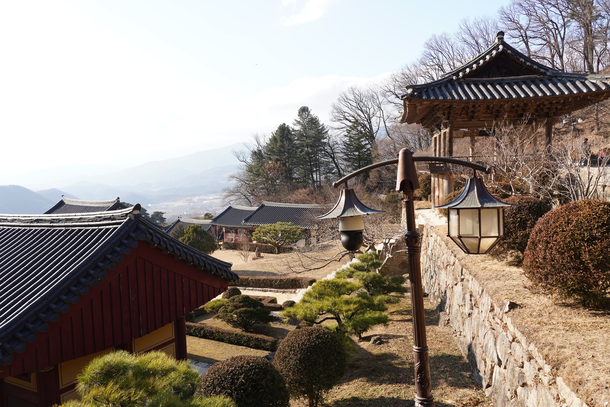 YeongJu (181)