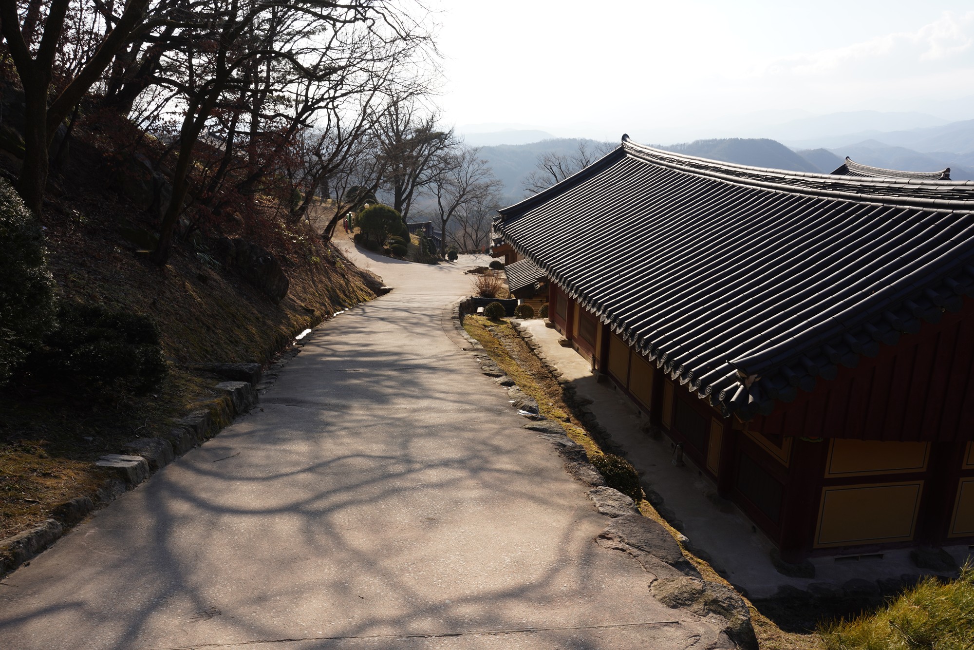 YeongJu (182)