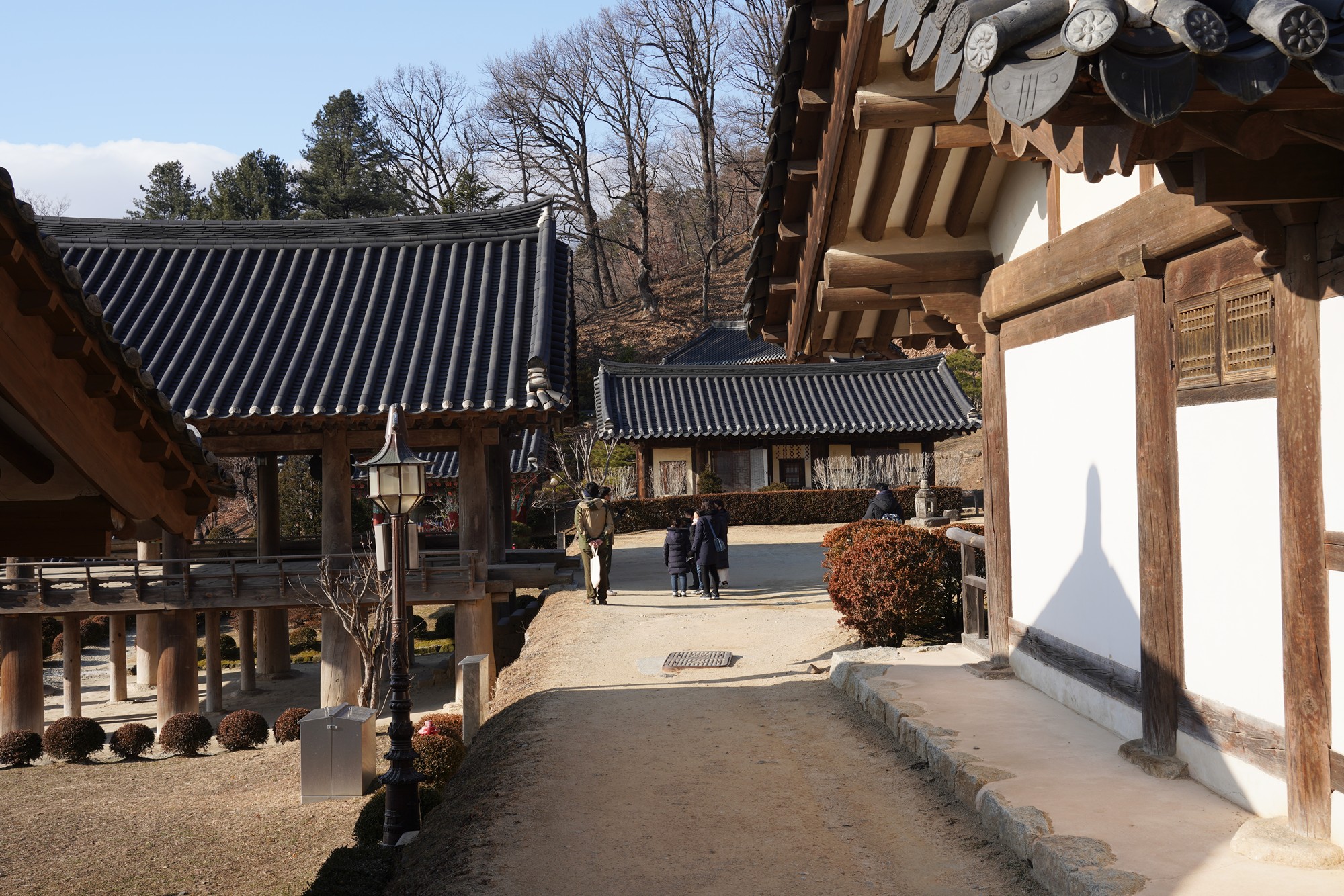 YeongJu (183)