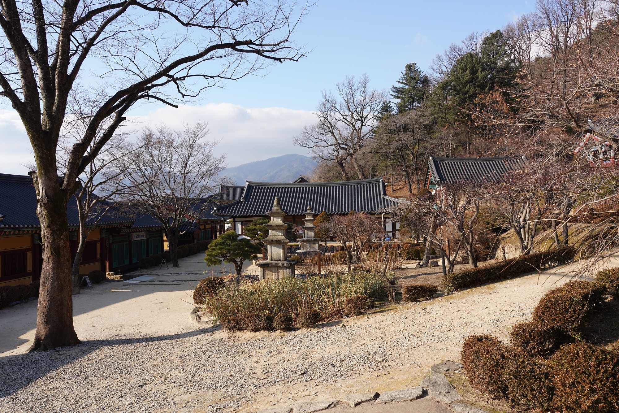 YeongJu (184)