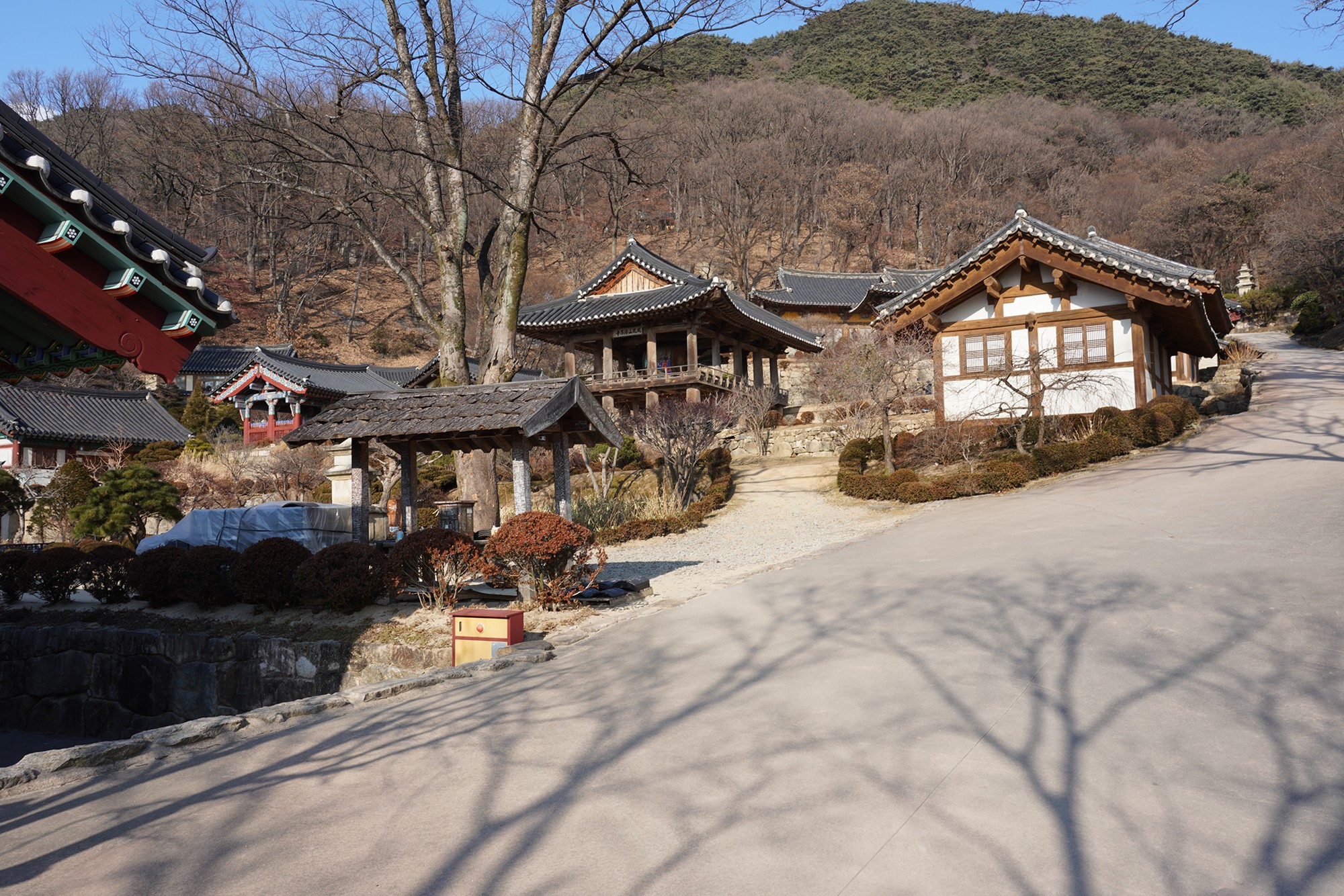 YeongJu (185)