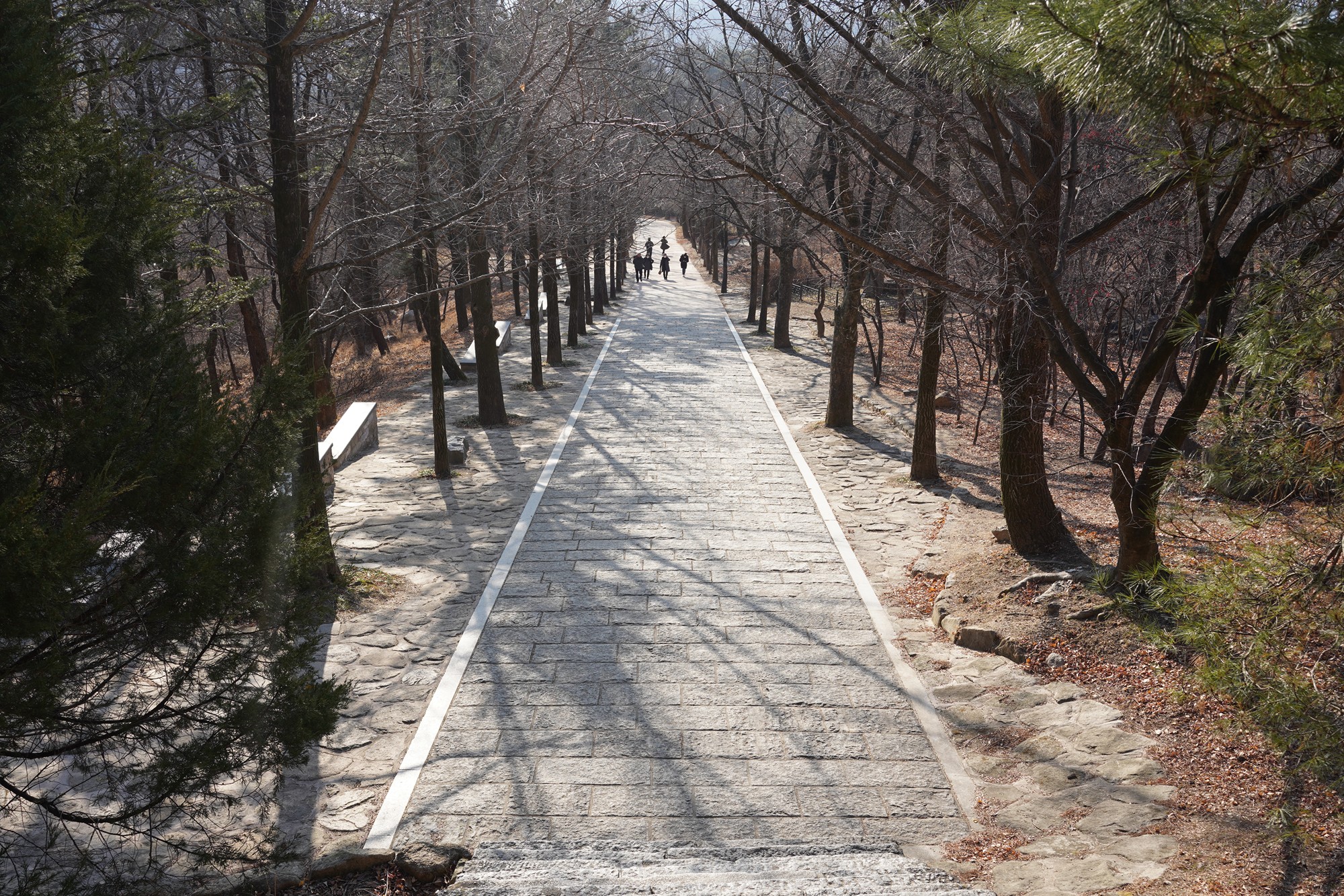 YeongJu (186)