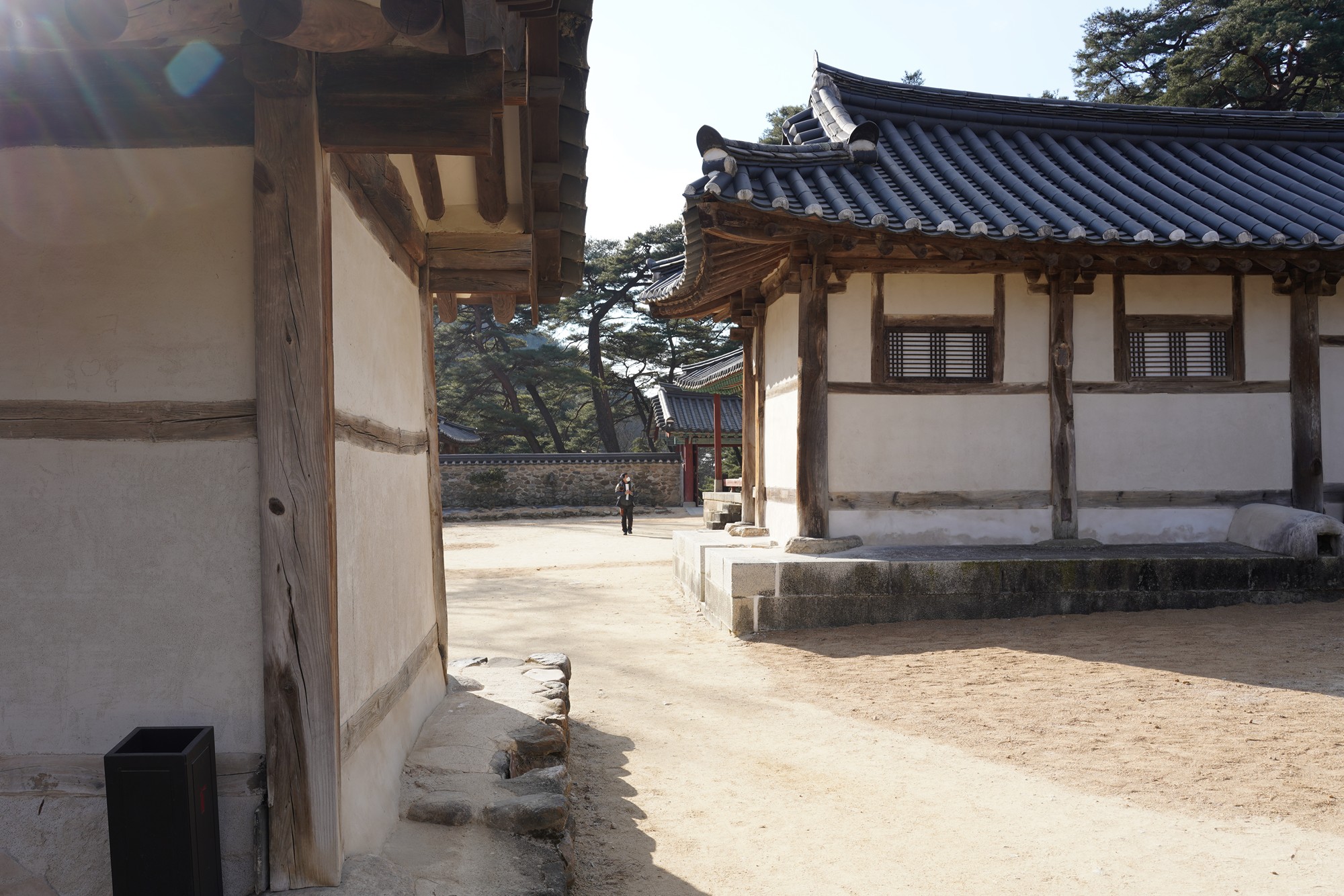YeongJu (19)