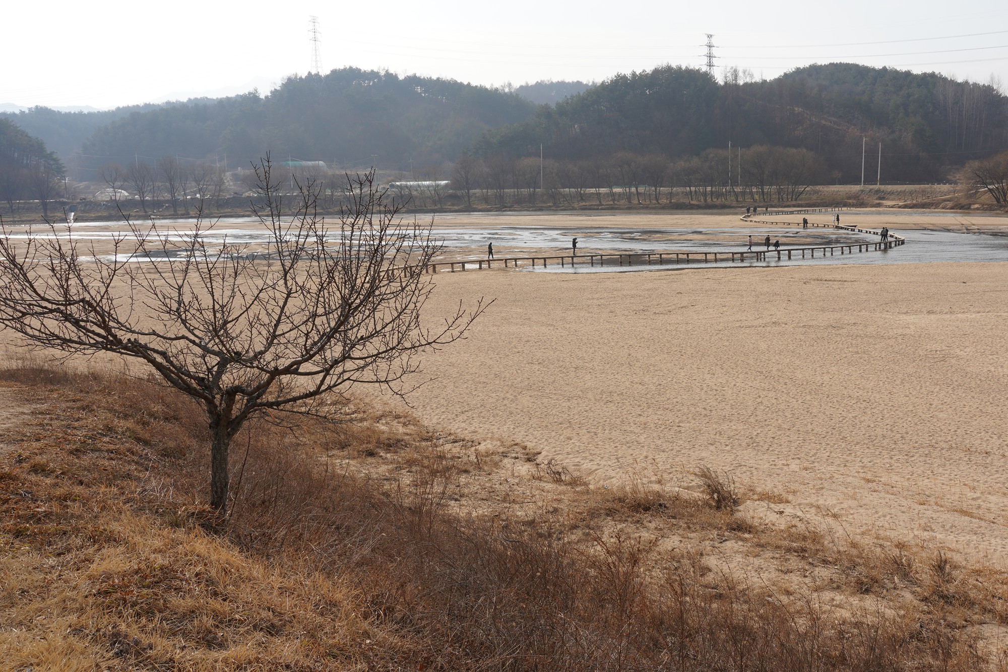 YeongJu 2 (11)