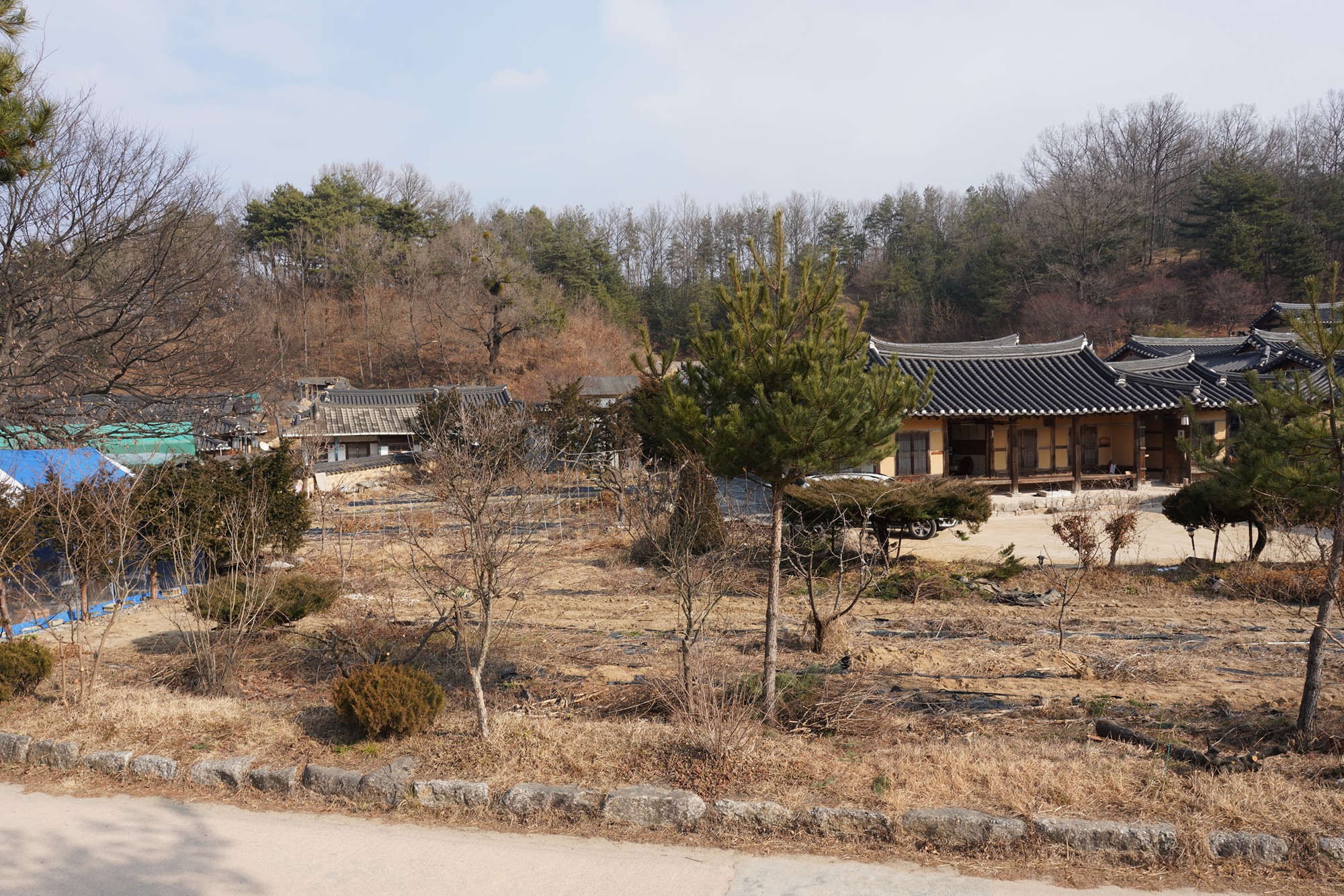 YeongJu 2 (16)