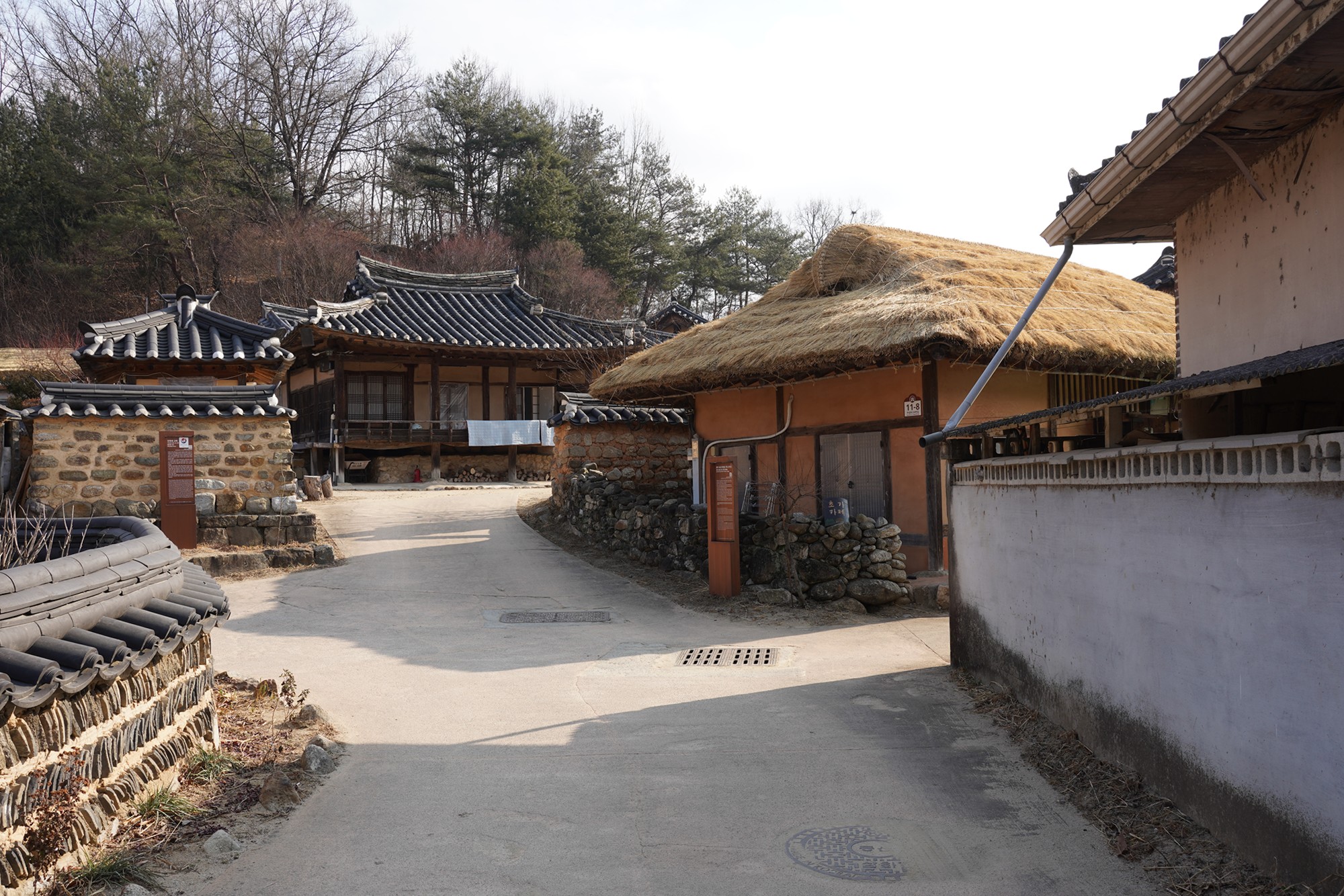 YeongJu 2 (17)