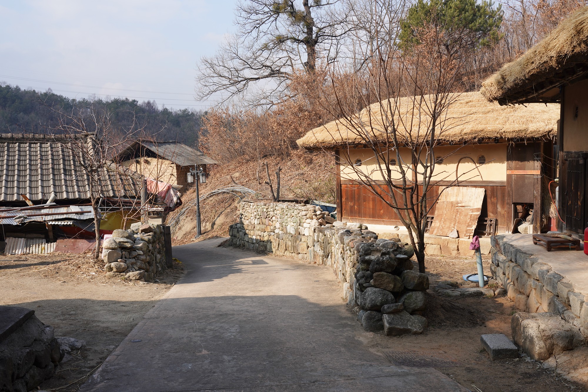 YeongJu 2 (22)