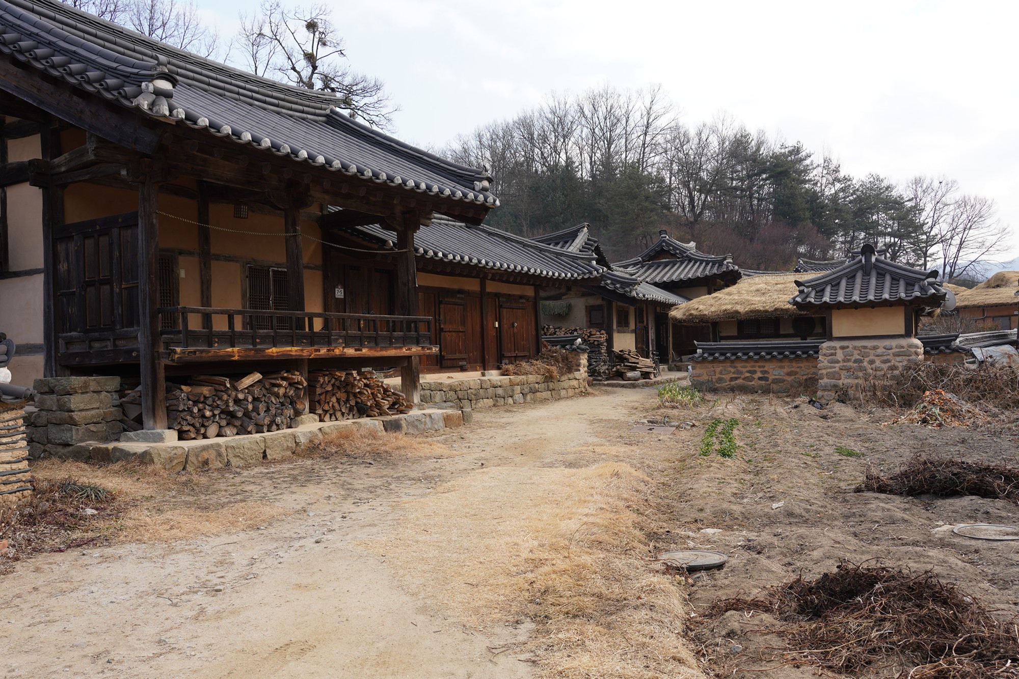 YeongJu 2 (28)
