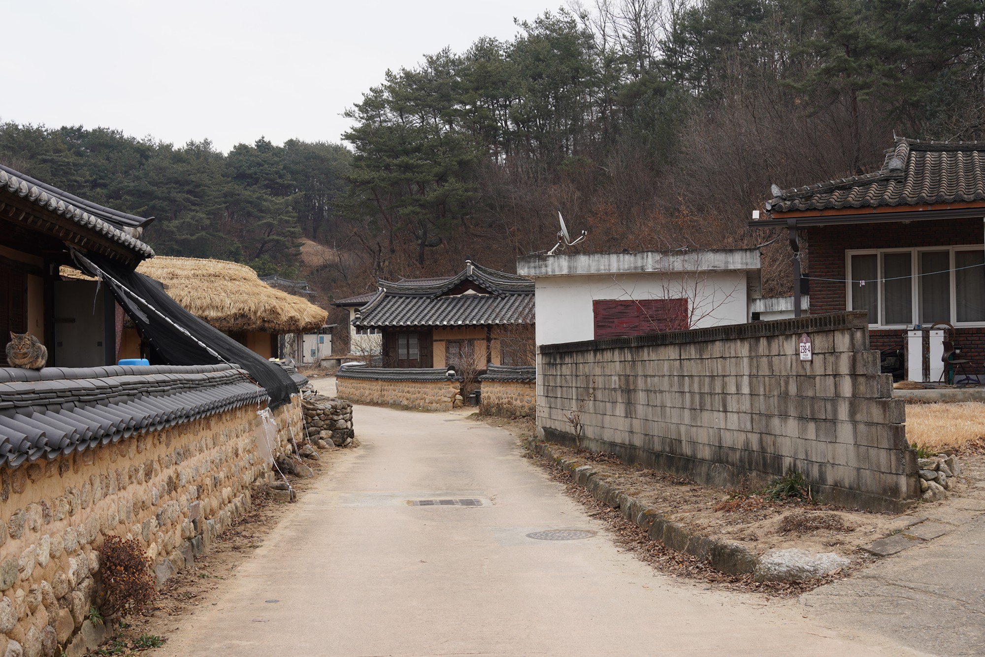 YeongJu 2 (38)