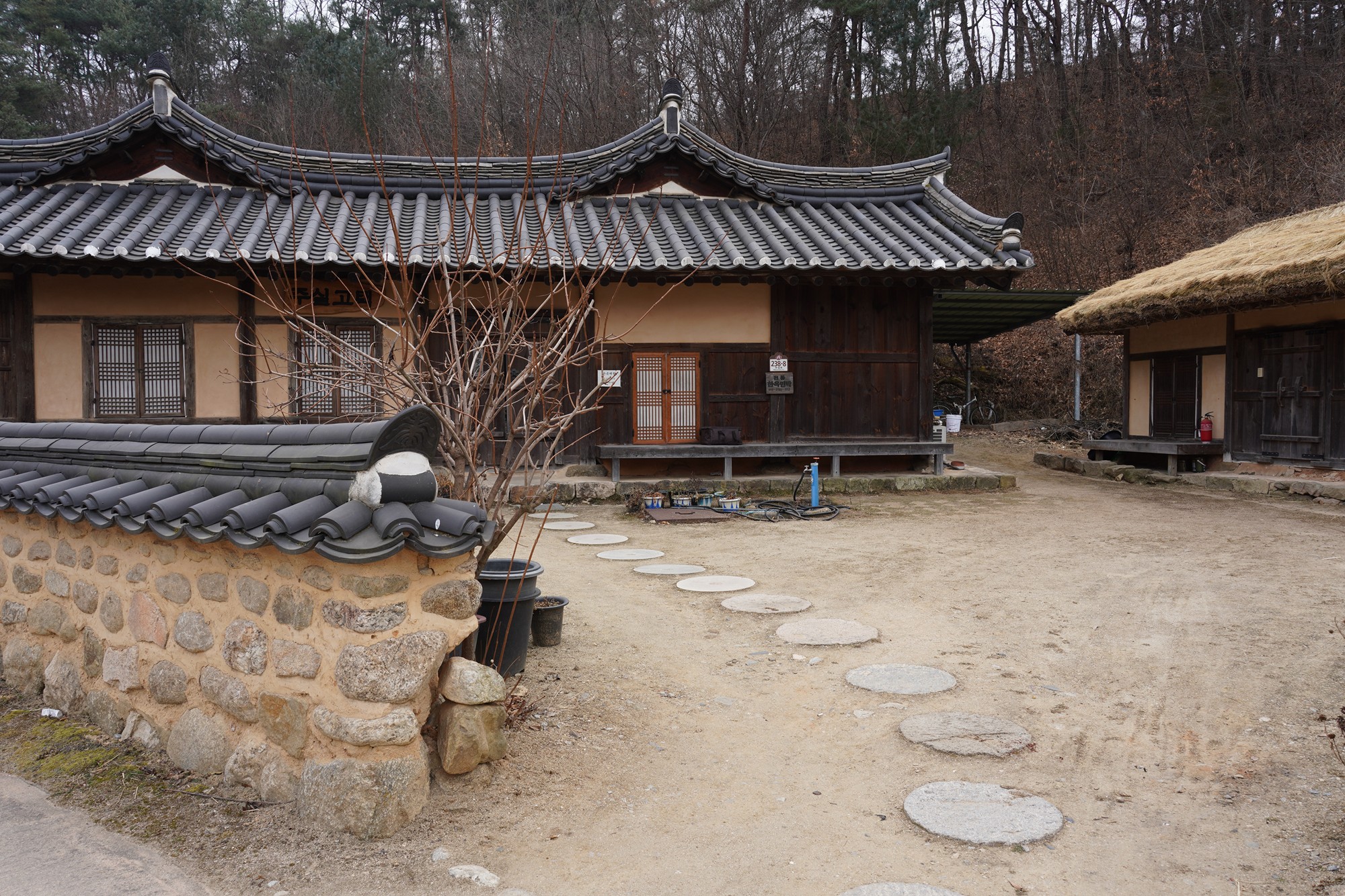 YeongJu 2 (42)
