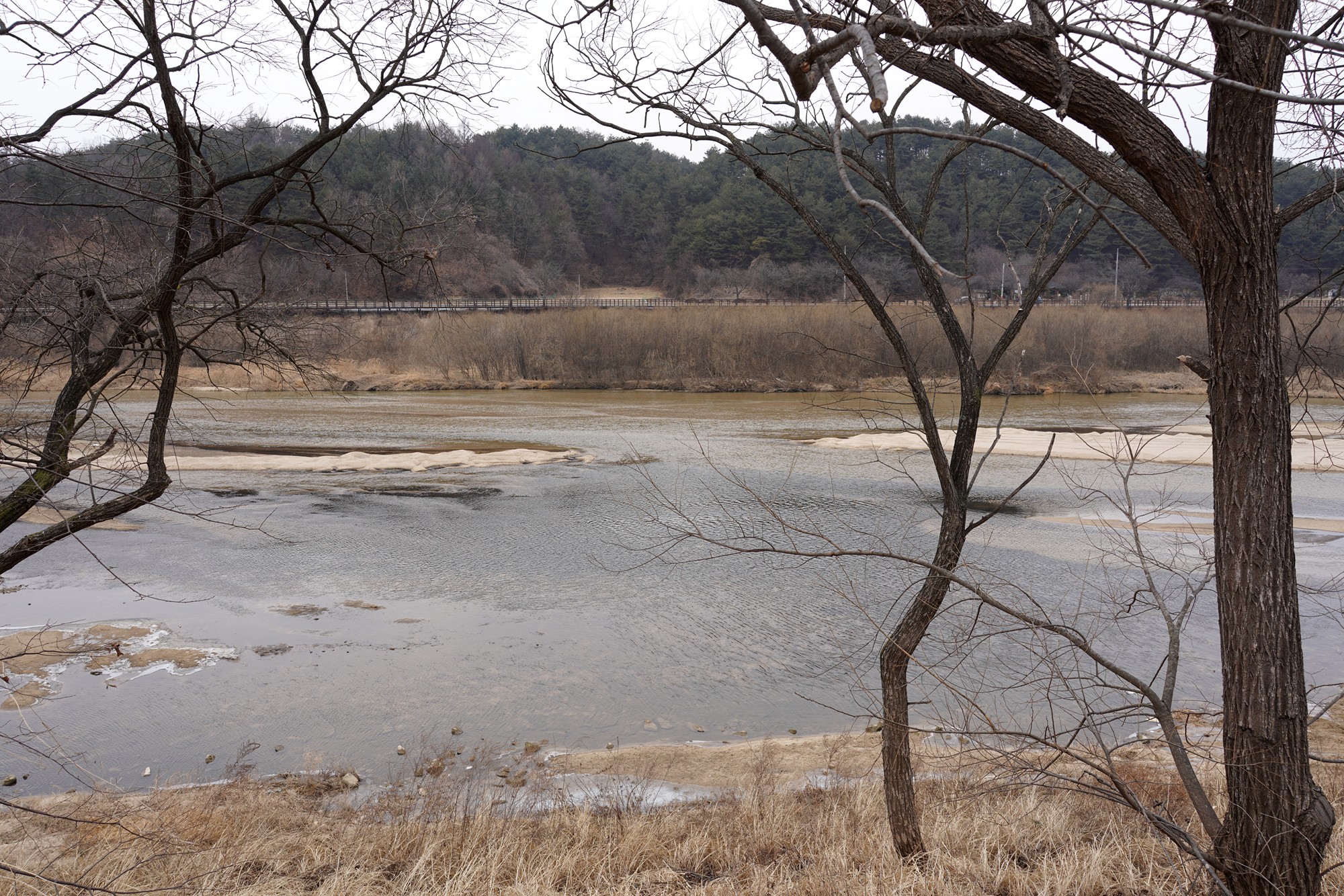 YeongJu 2 (50)