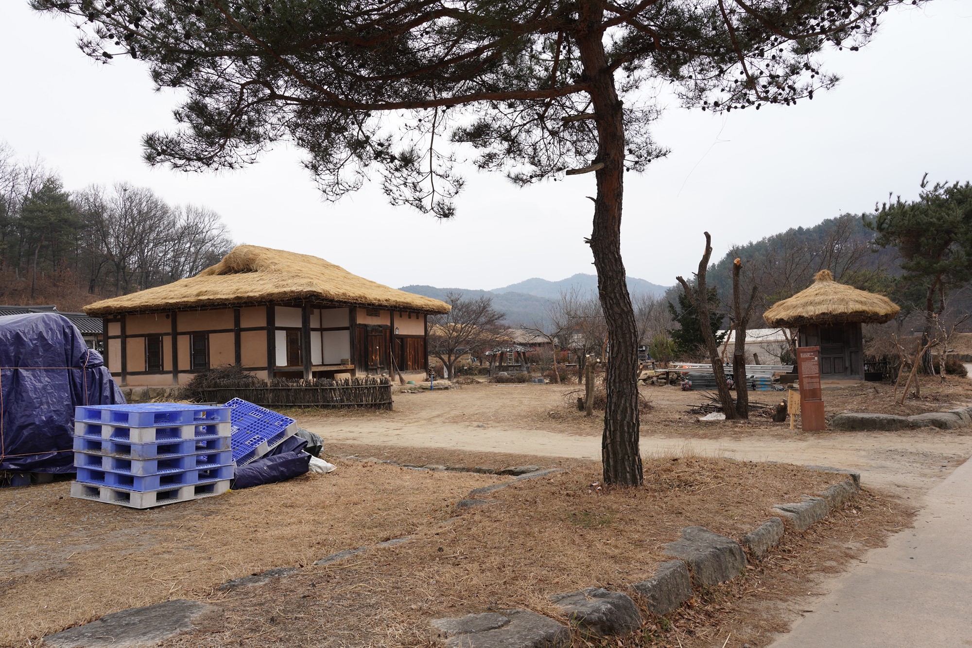 YeongJu 2 (53)