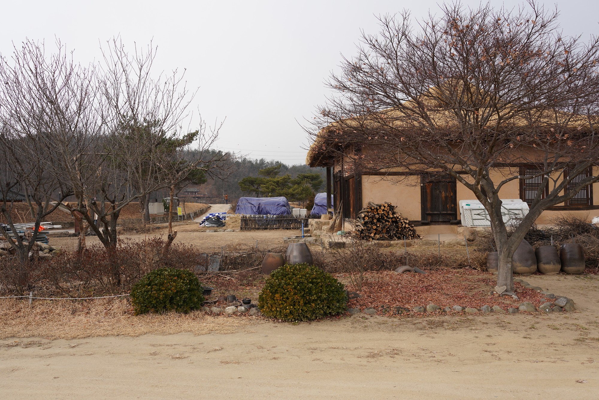 YeongJu 2 (55)