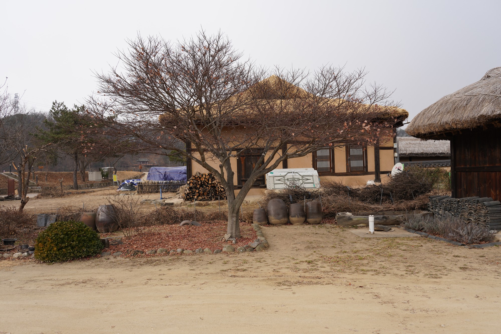 YeongJu 2 (56)