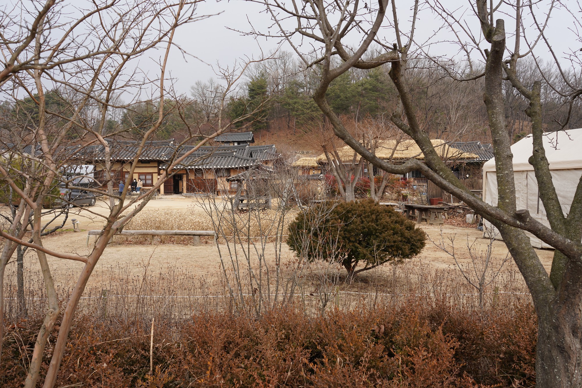 YeongJu 2 (57)