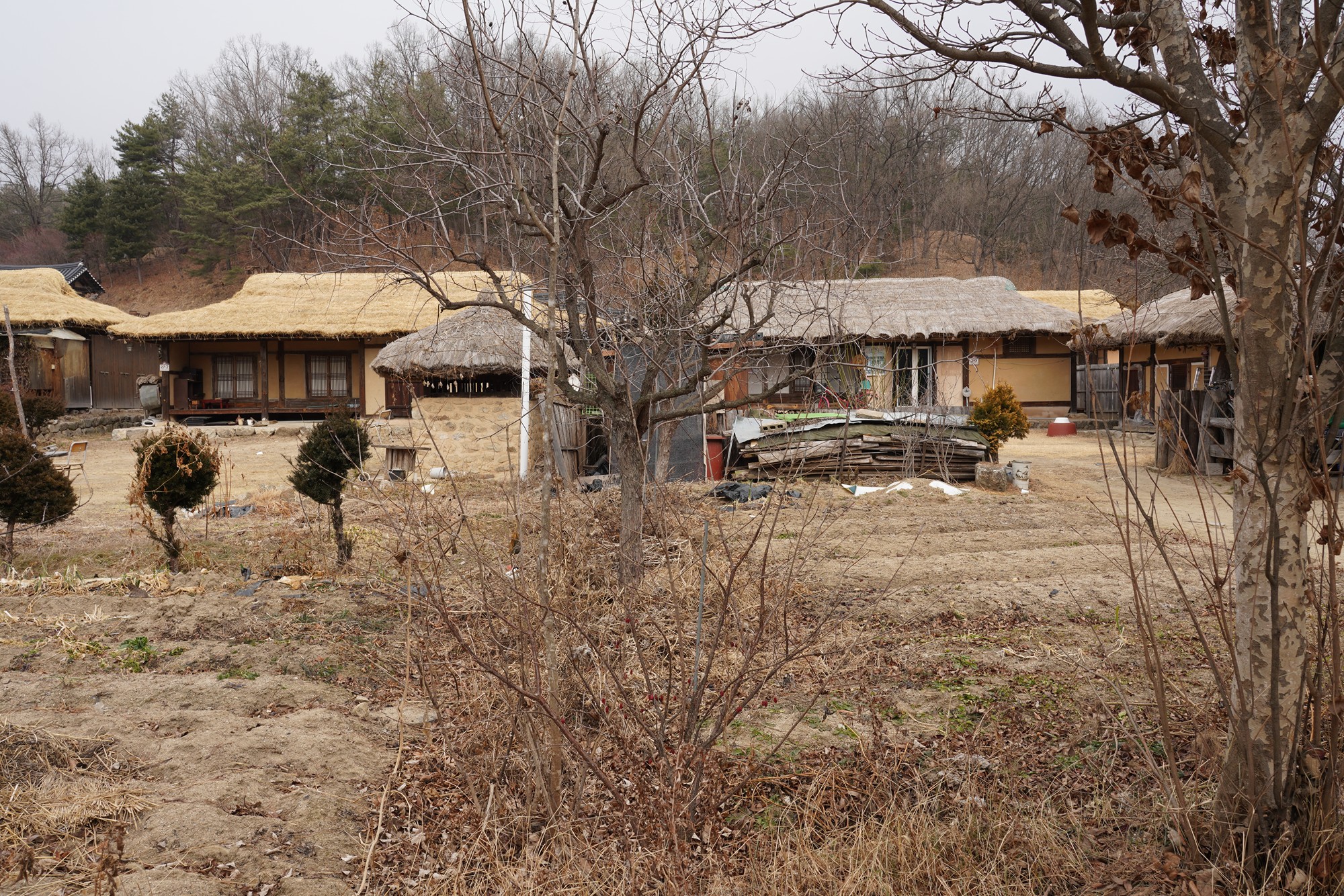 YeongJu 2 (58)