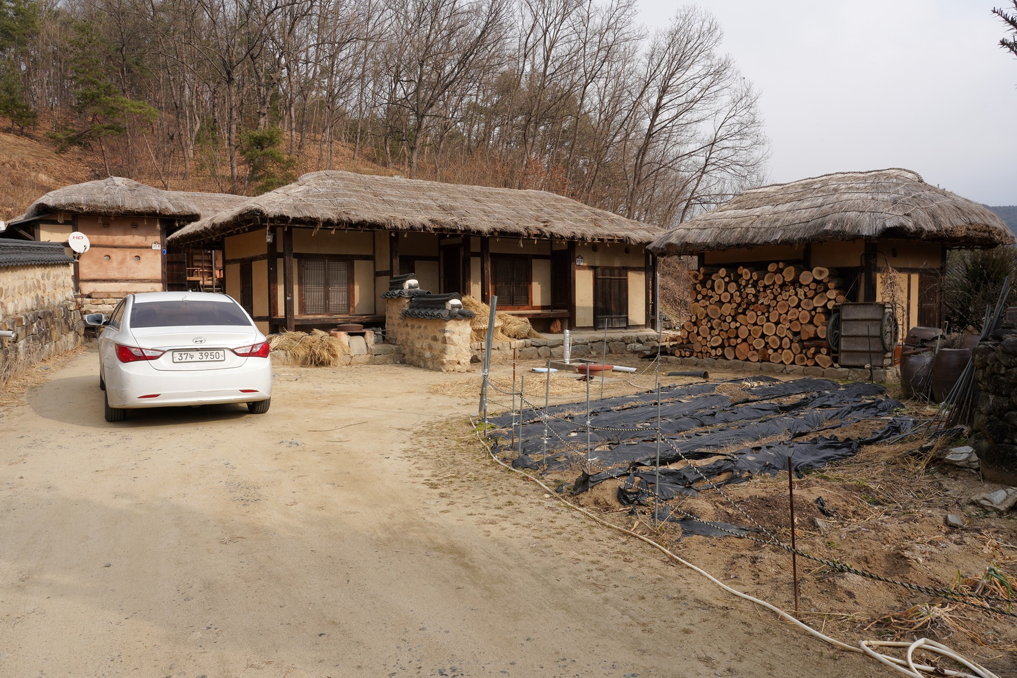 YeongJu 2 (63)