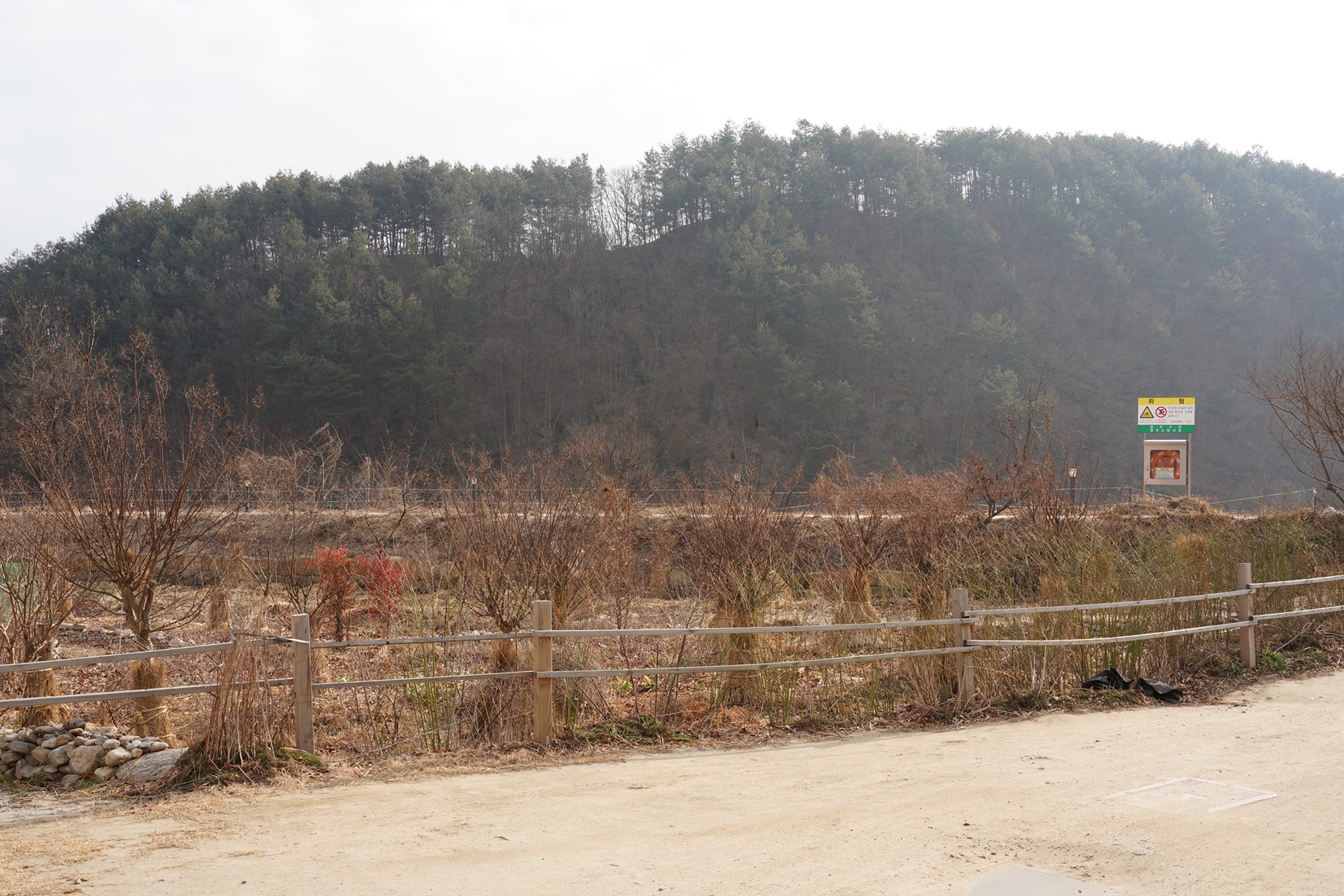 YeongJu 2 (68)