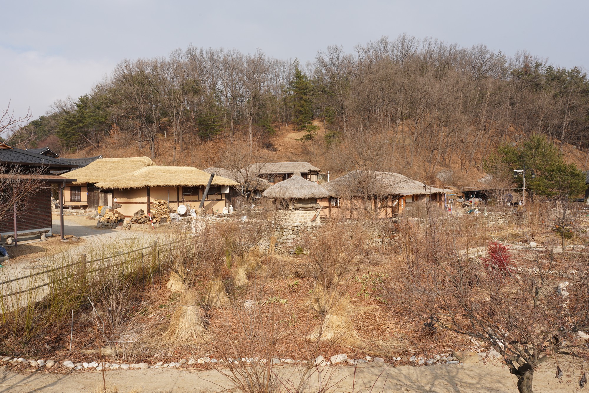 YeongJu 2 (69)