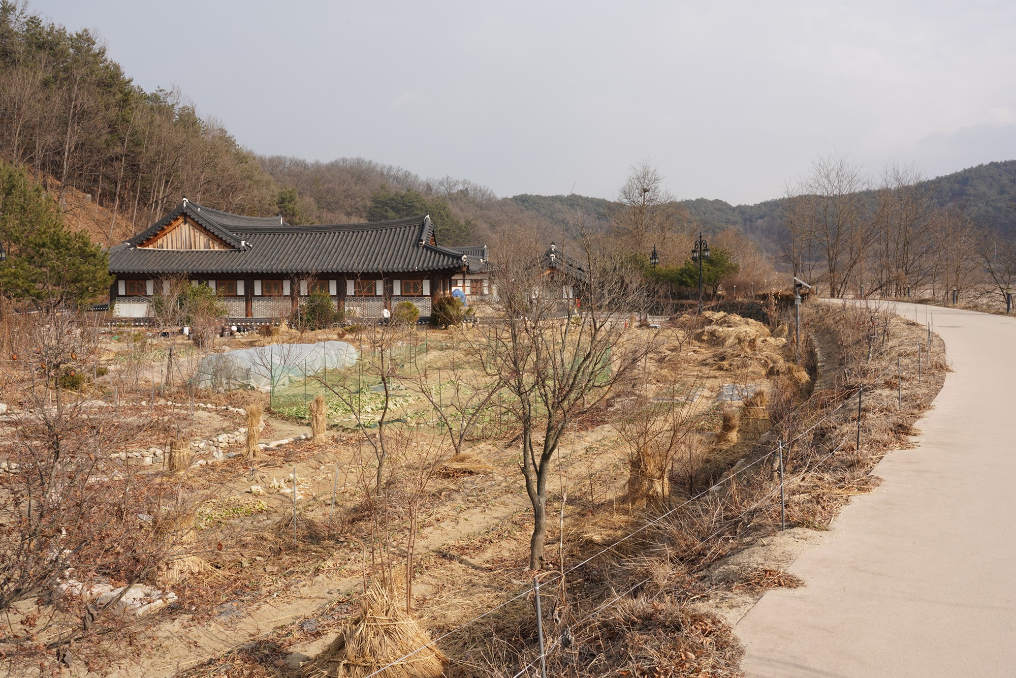 YeongJu 2 (70)