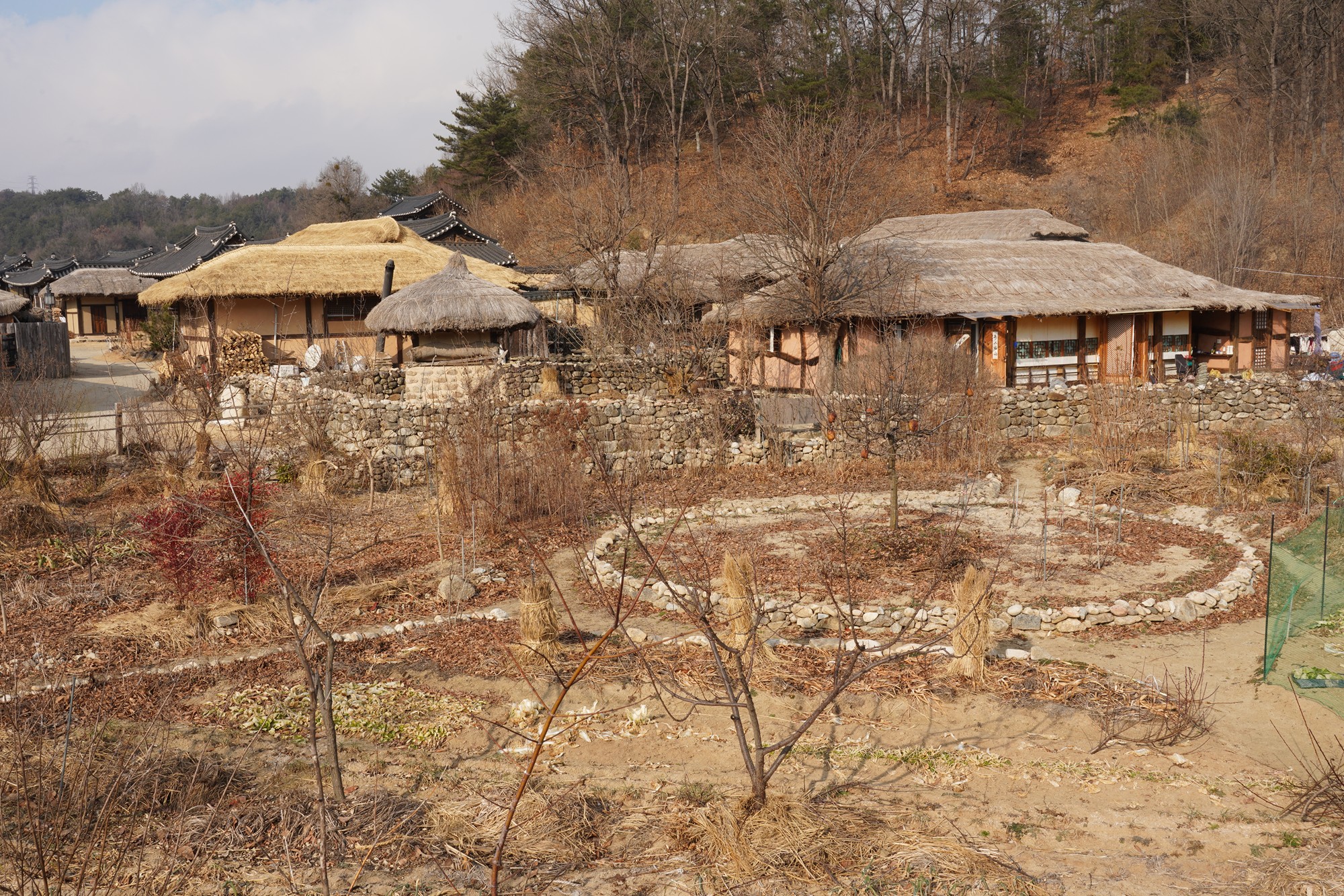 YeongJu 2 (71)