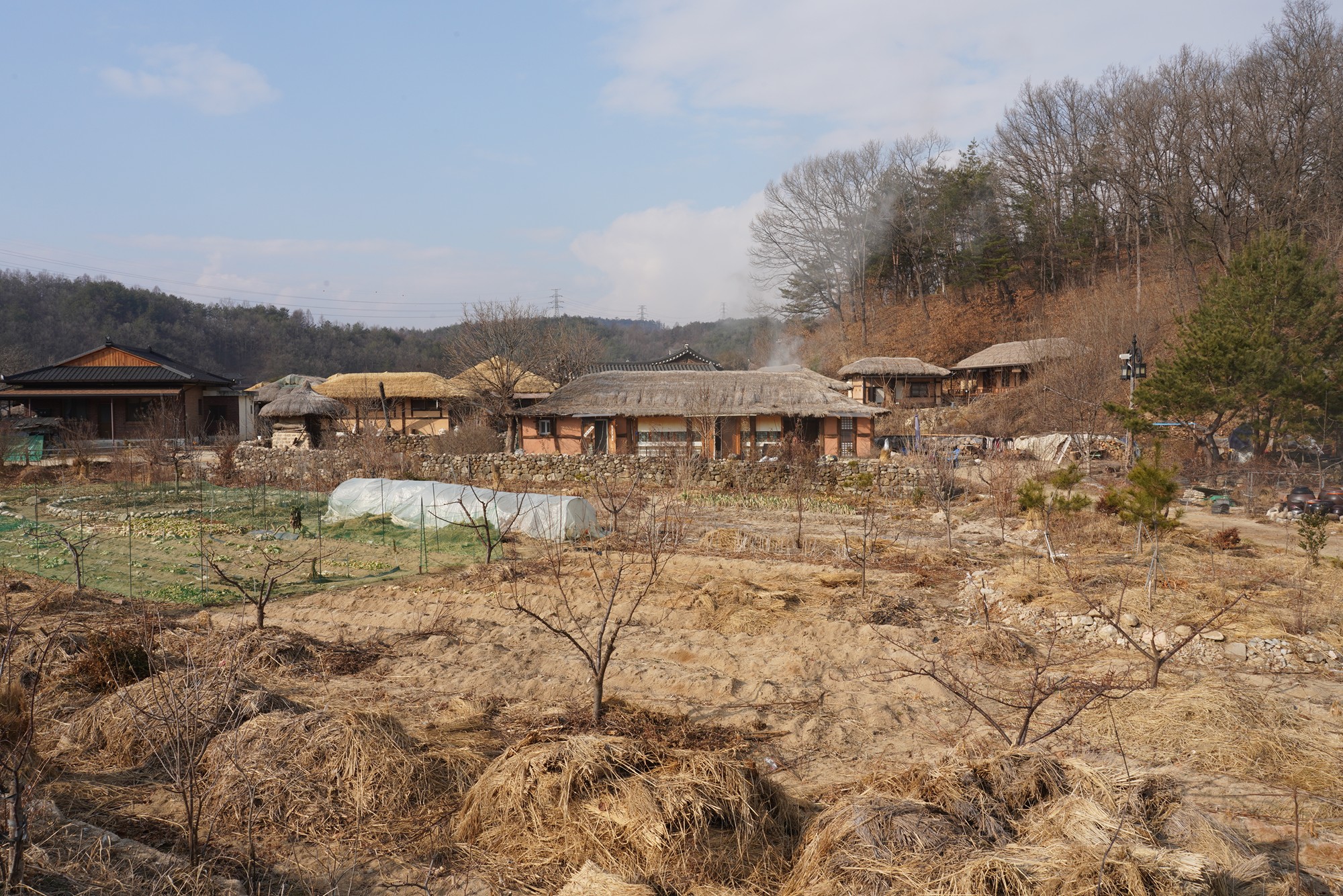 YeongJu 2 (73)