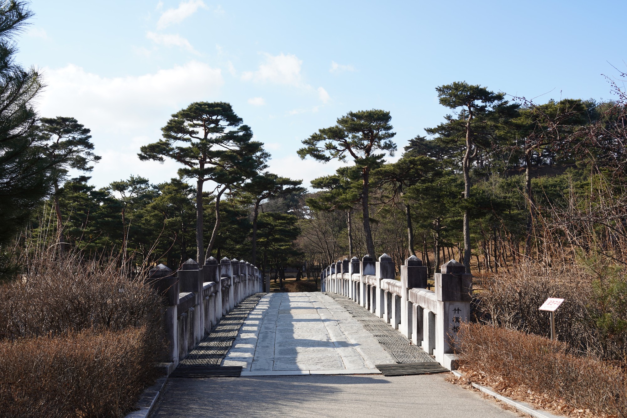 YeongJu (2)
