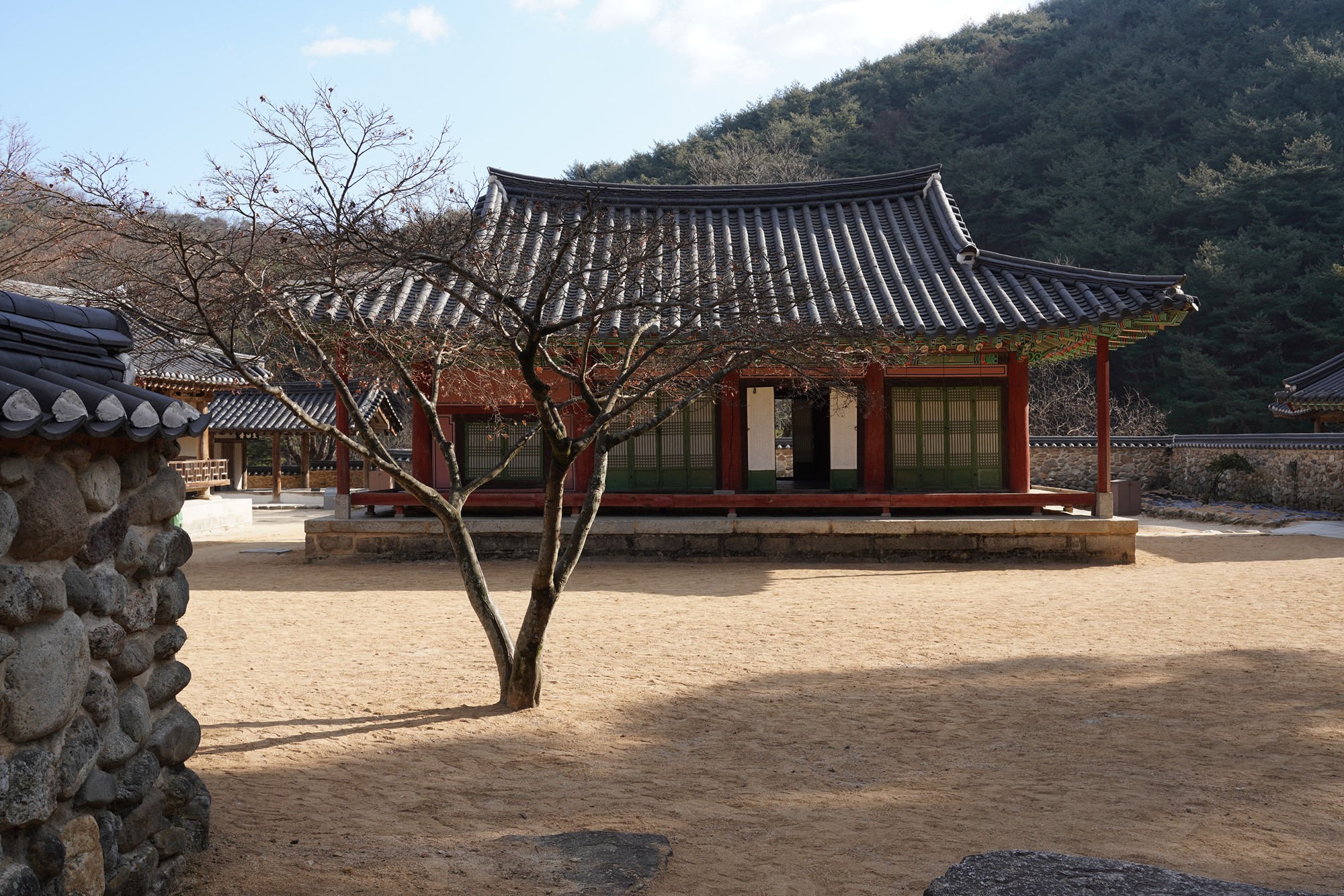 YeongJu (36)