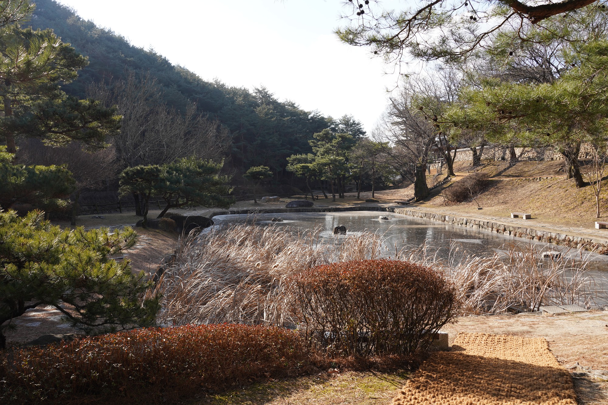 YeongJu (4)