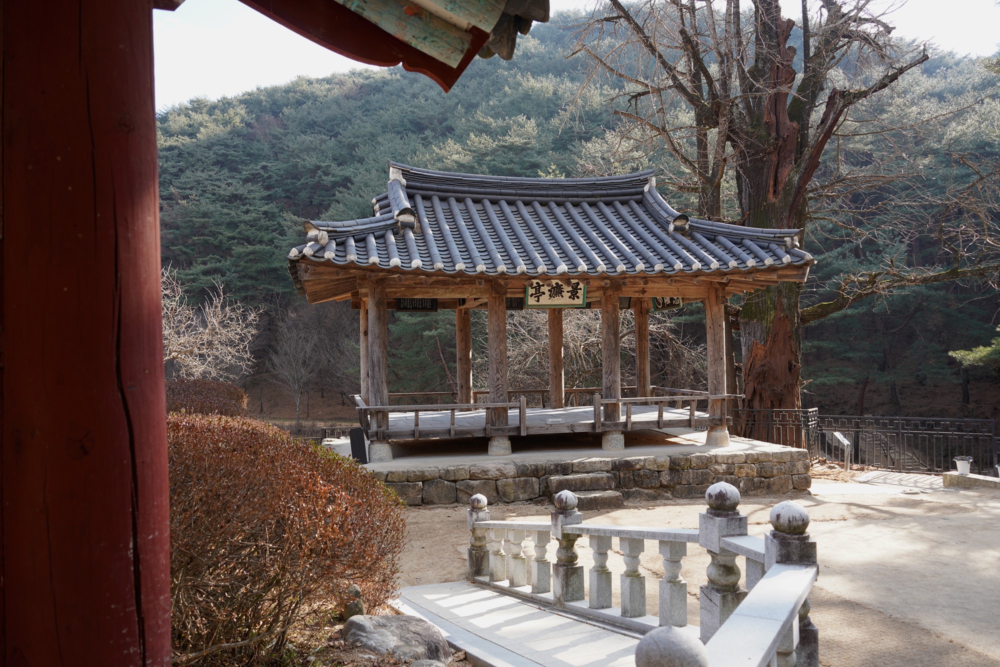 YeongJu (40)
