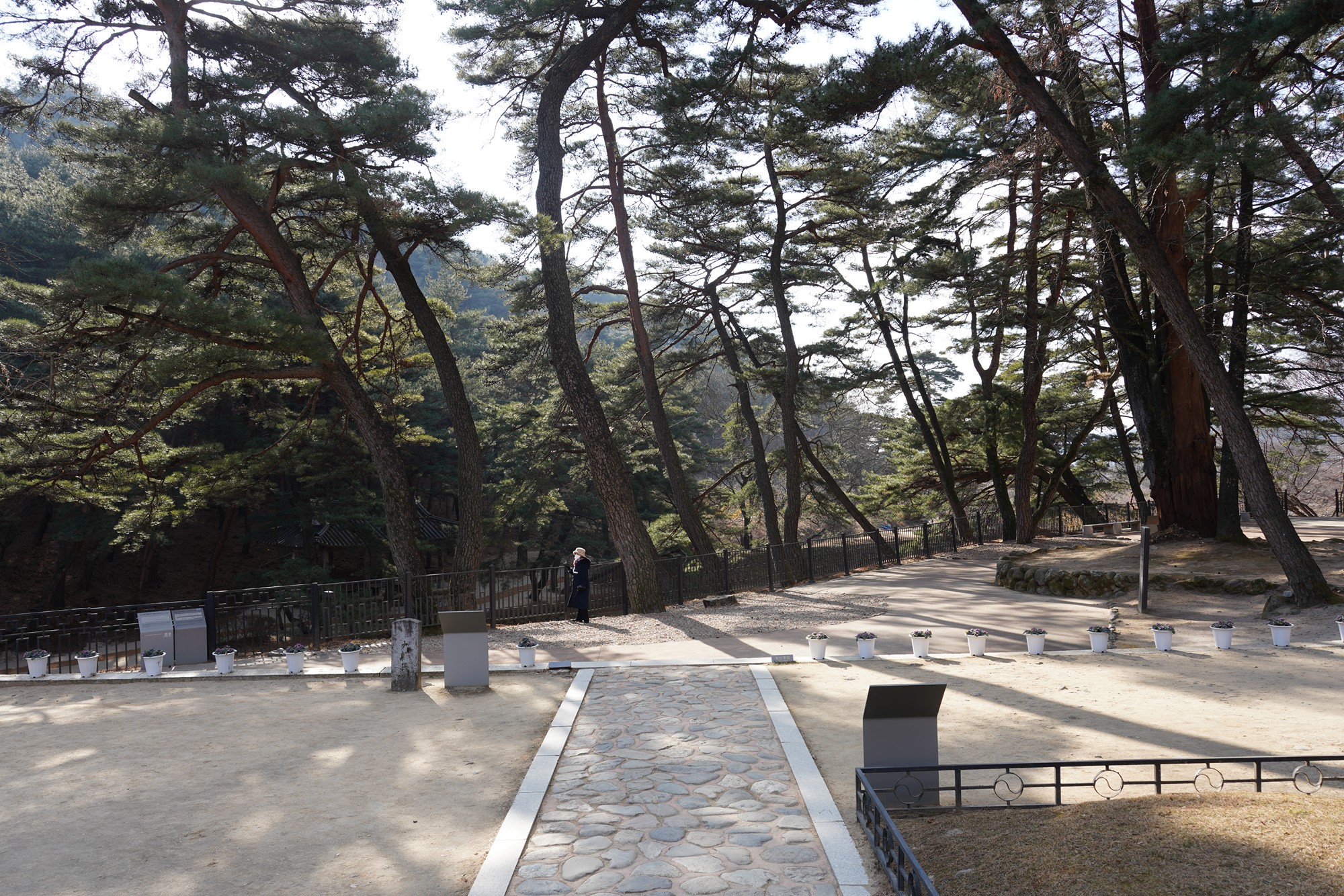YeongJu (41)