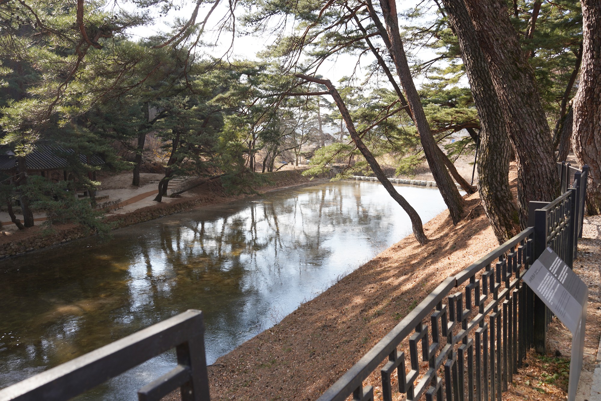 YeongJu (42)